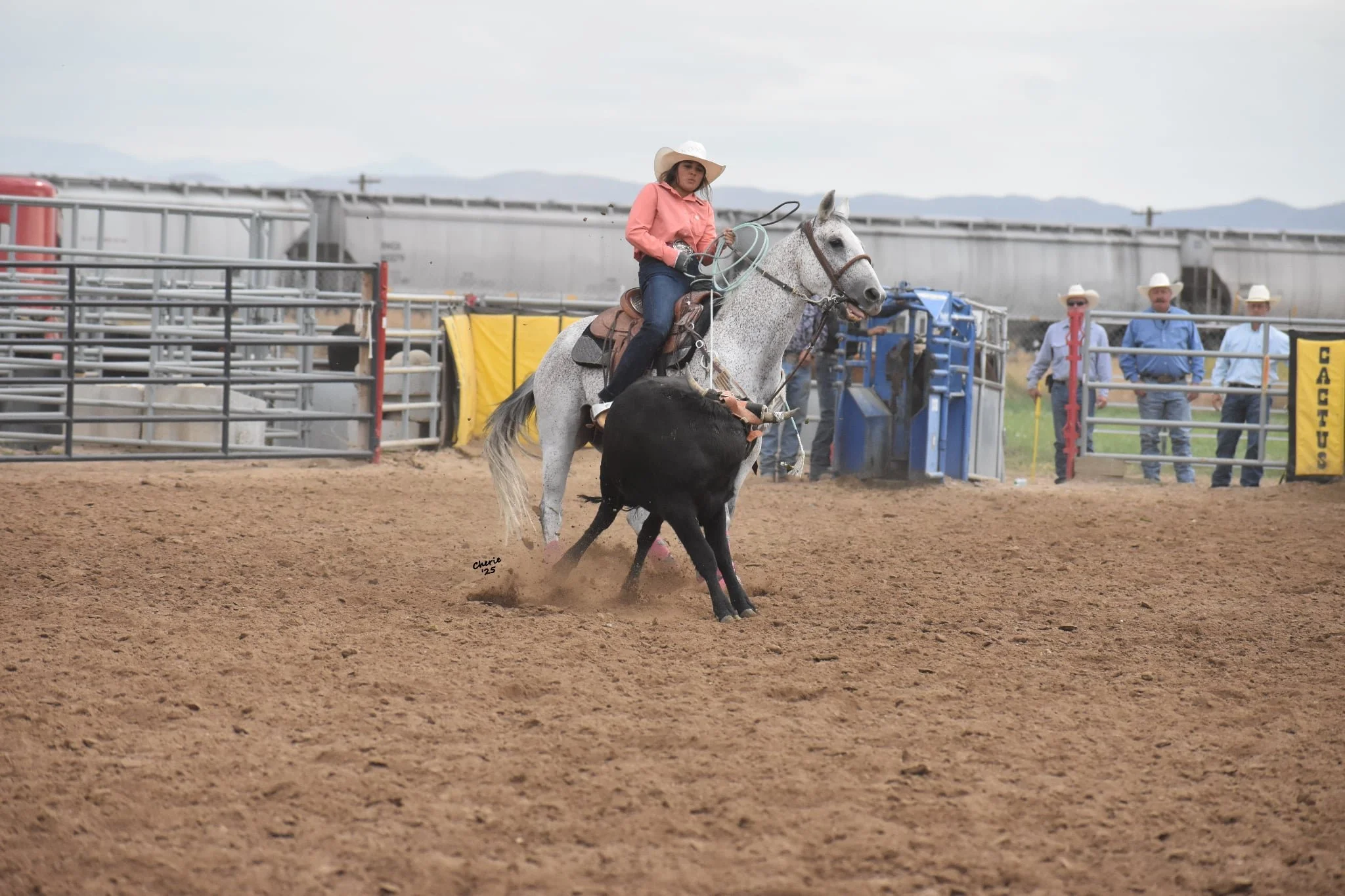 Full-Body Equine Cryo Session