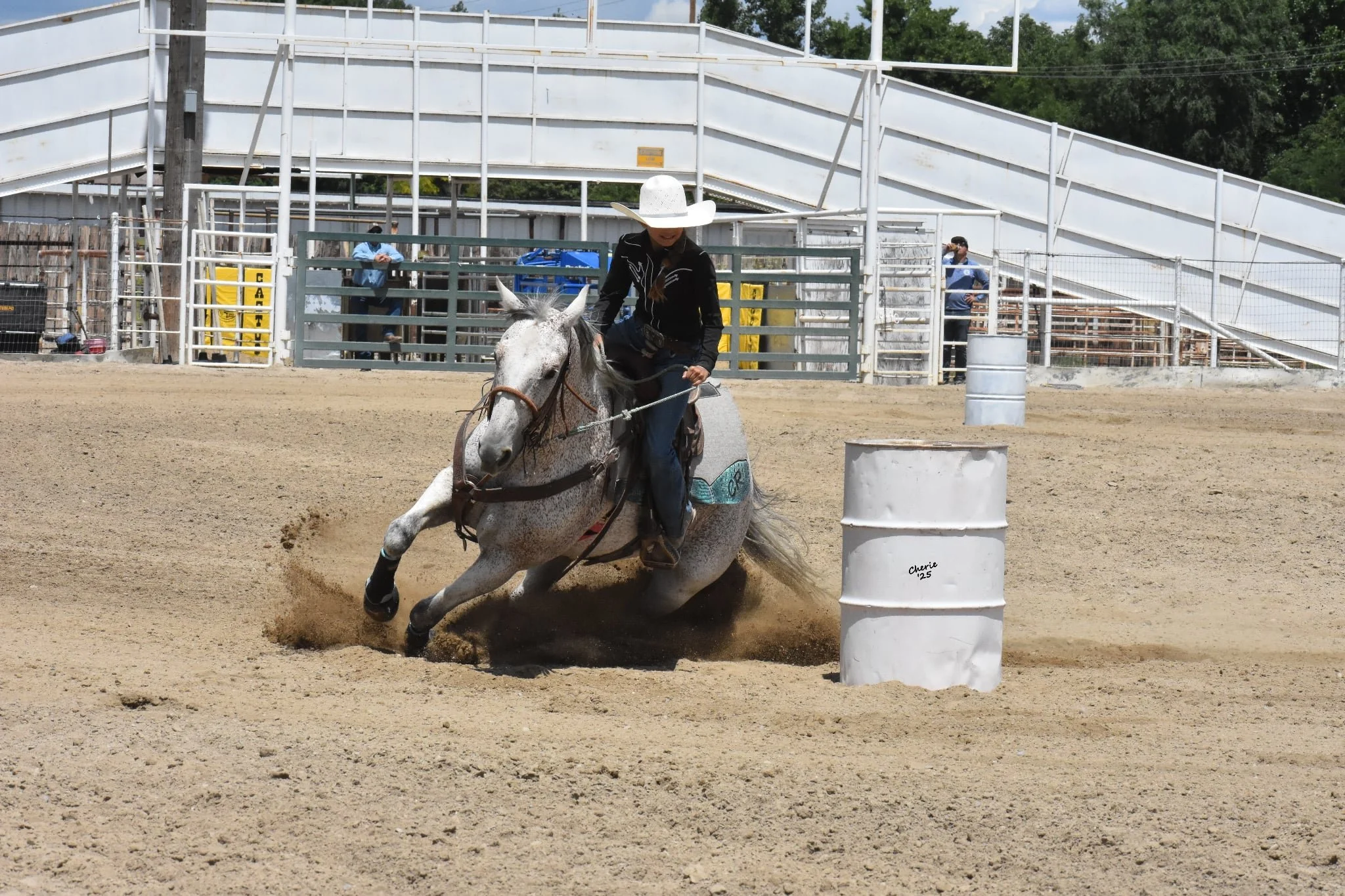 Equine Recovery Bundles