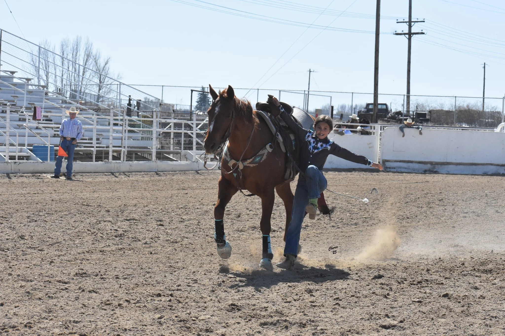 Equine Leg Cryotherpay