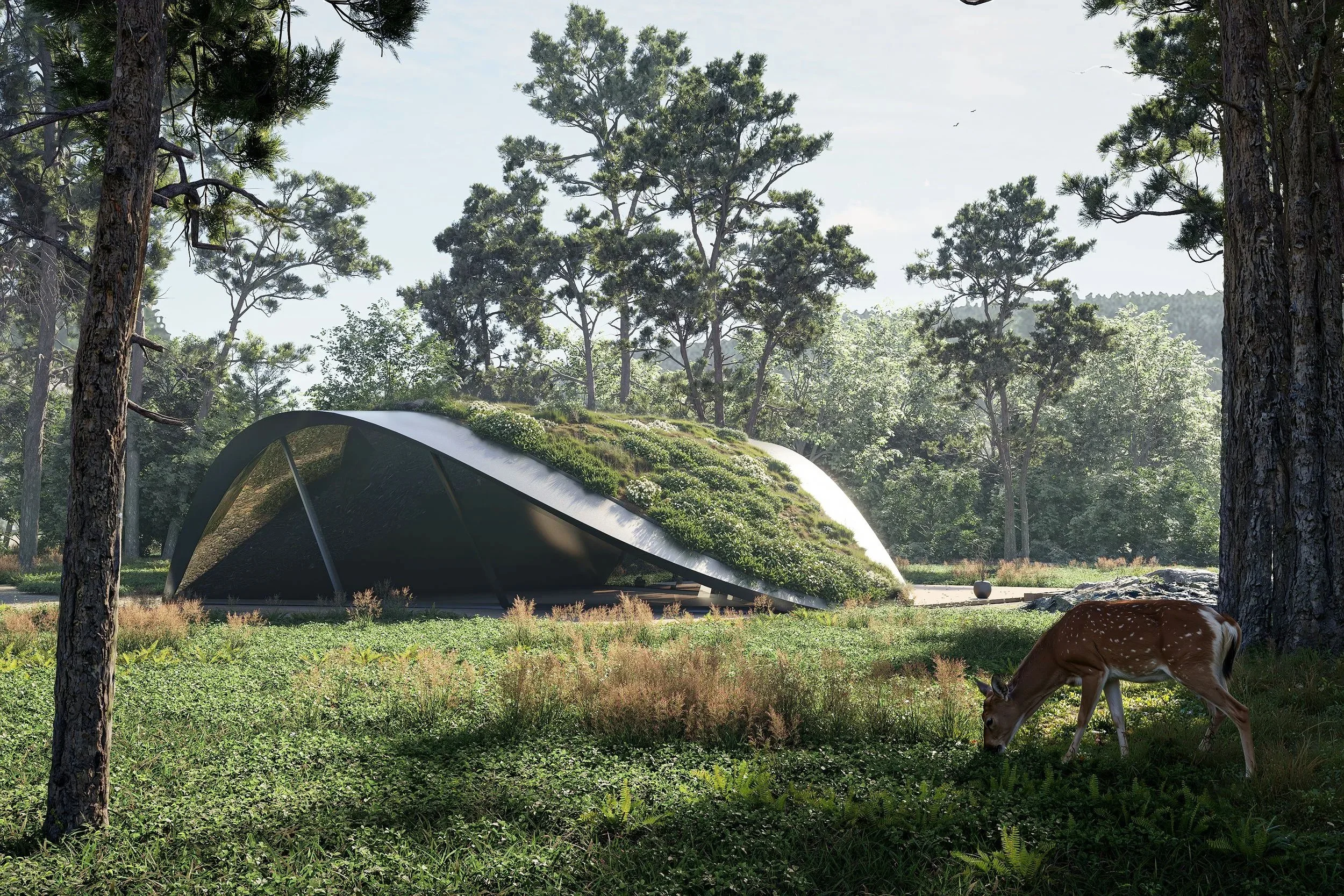 A modern, eco-friendly building with a curved roof covered in greenery, situated in a forest with tall trees. A young deer is grazing in the grass nearby.