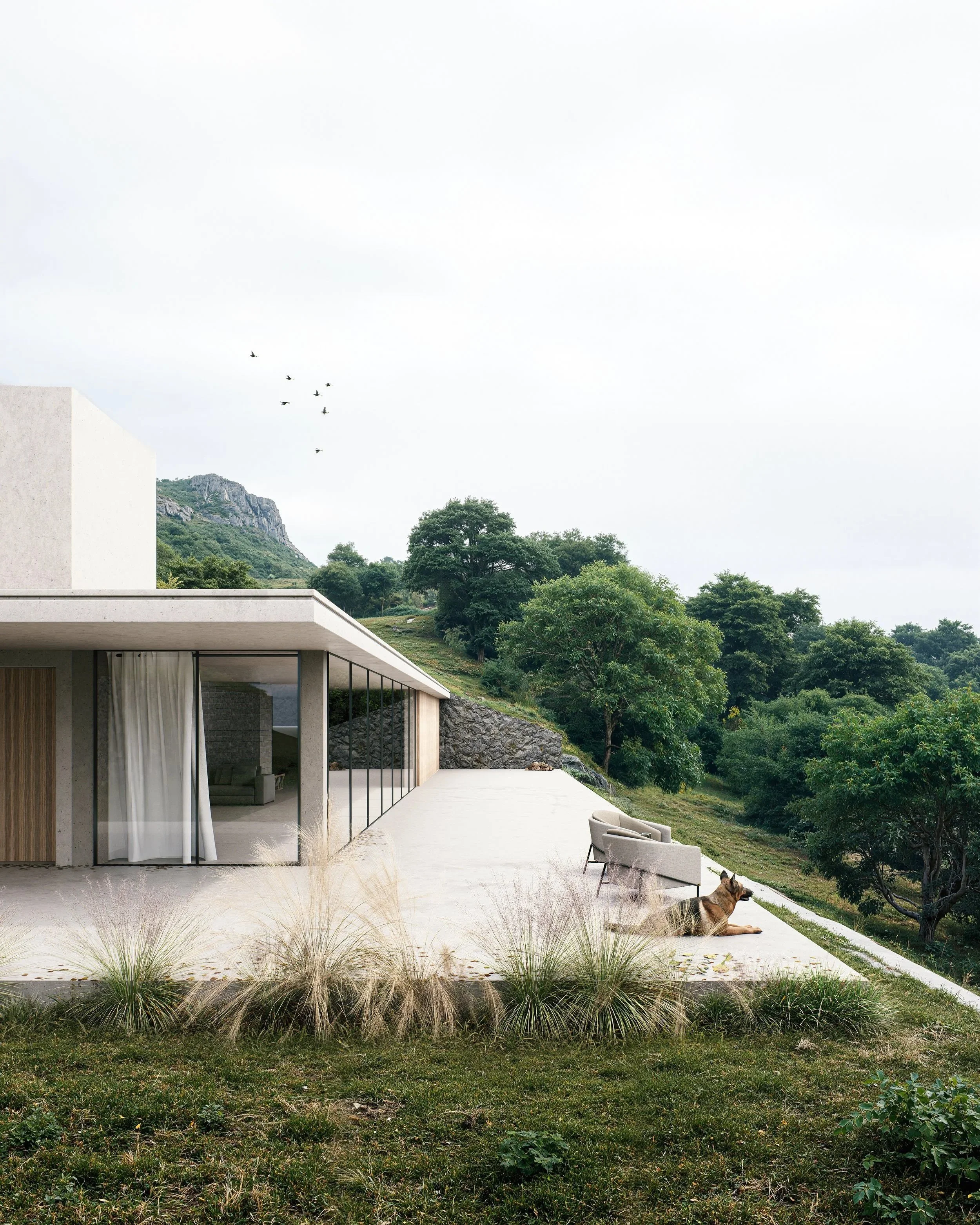 Minimalist hillside home with panoramic glass walls, modern patio seating, and a serene mountain backdrop. Surrounded by lush greenery and ornamental grasses, this architectural retreat blends natural textures with clean lines—featuring a German Shep