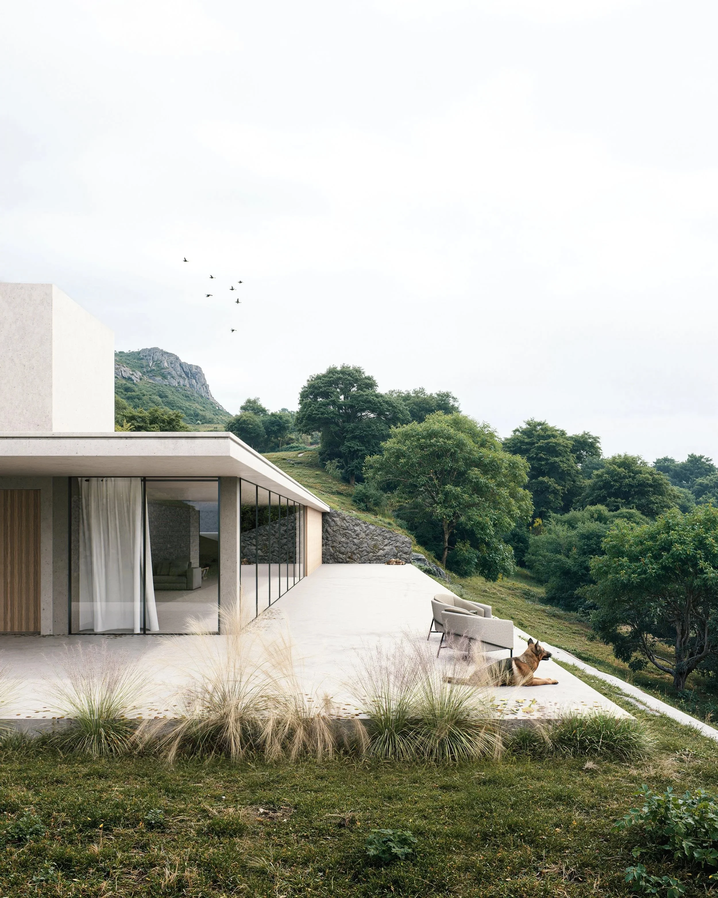 Modern hillside retreat merges glass, geometry, and greenery for a tranquil indoor-outdoor living experience