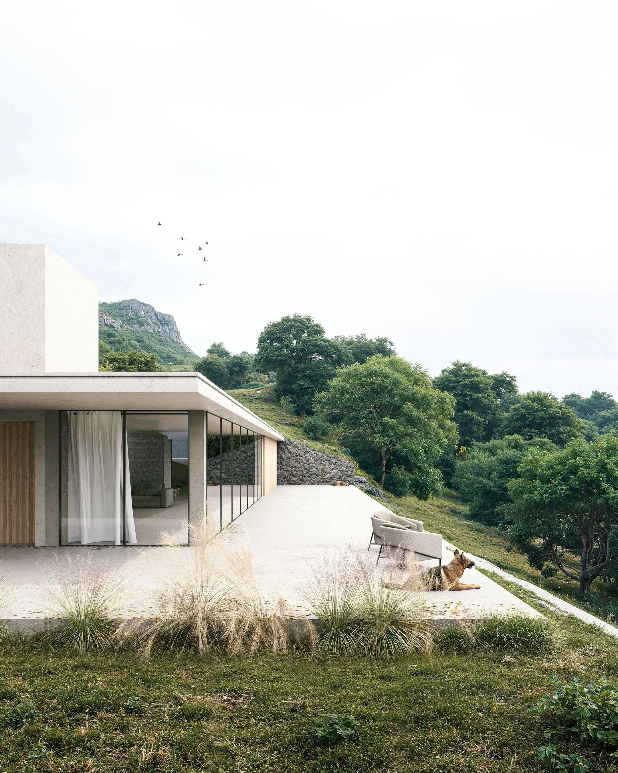 Modern hillside retreat merges glass, geometry, and greenery for a tranquil indoor-outdoor living experience