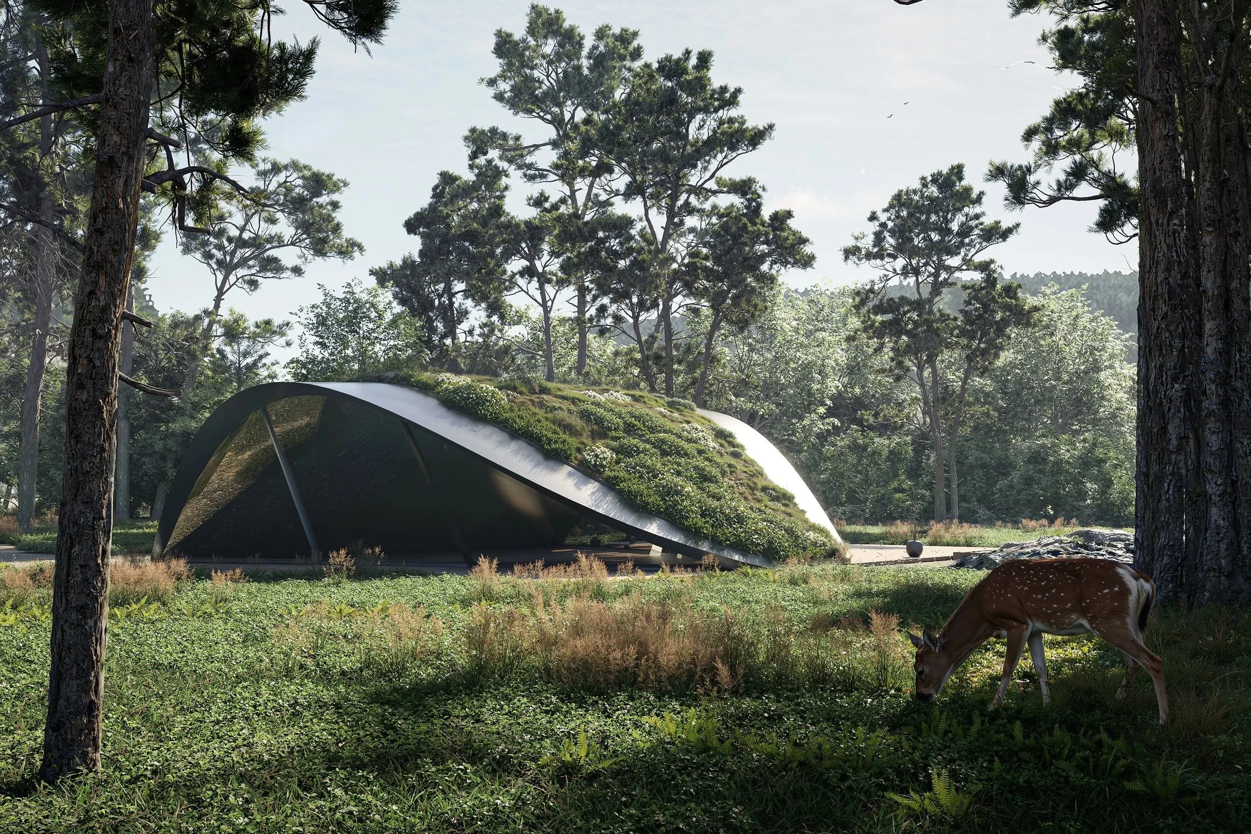 A modern, eco-friendly building with a curved roof covered in greenery, situated in a forest with tall trees. A young deer is grazing in the grass nearby.