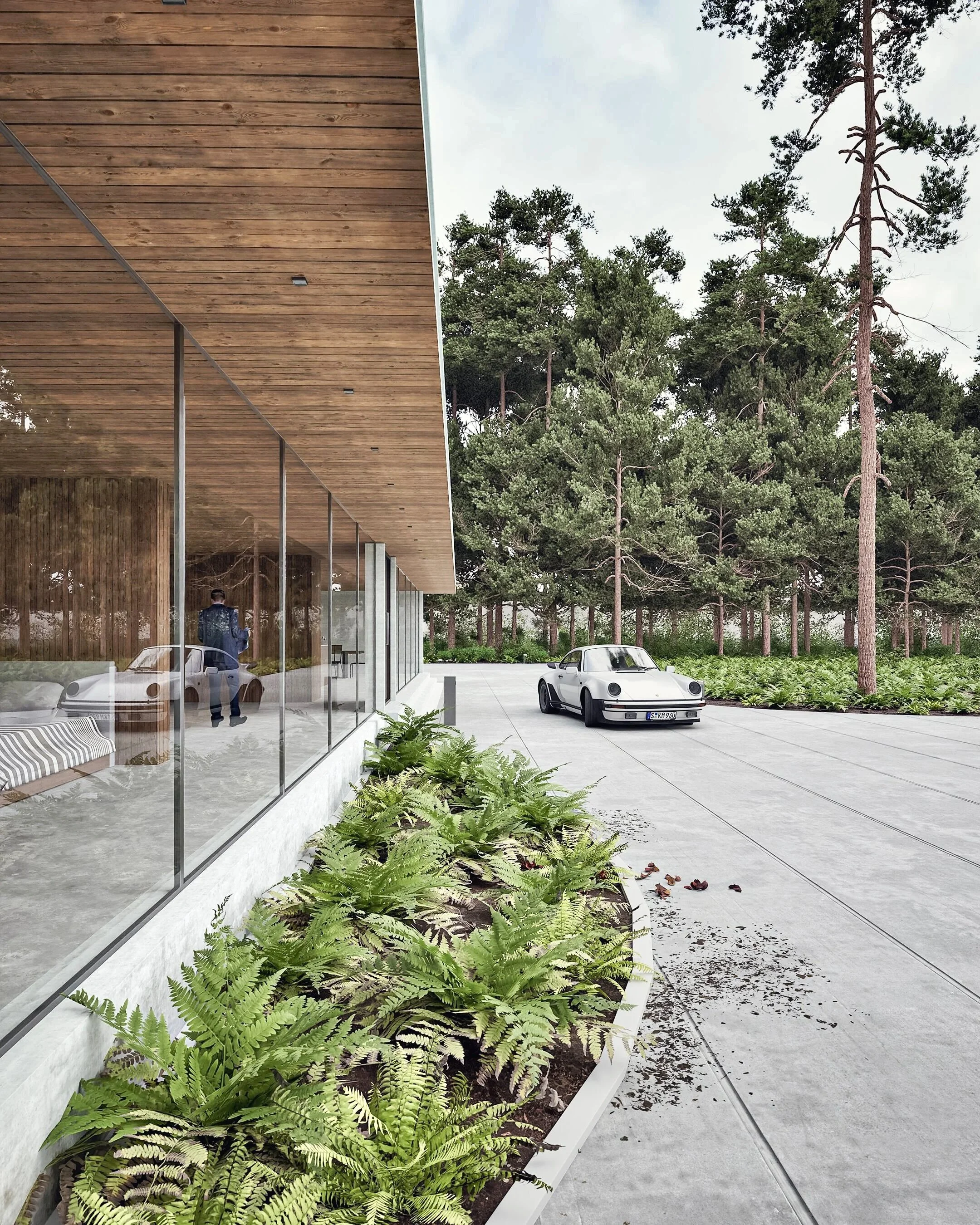 modern architecture, luxury residence, glass facade, timber soffit, forest setting, pine trees, contemporary home, architectural rendering, exterior visualisation, classic sports car, driveway design, natural landscaping, ferns, high‑end design, mini