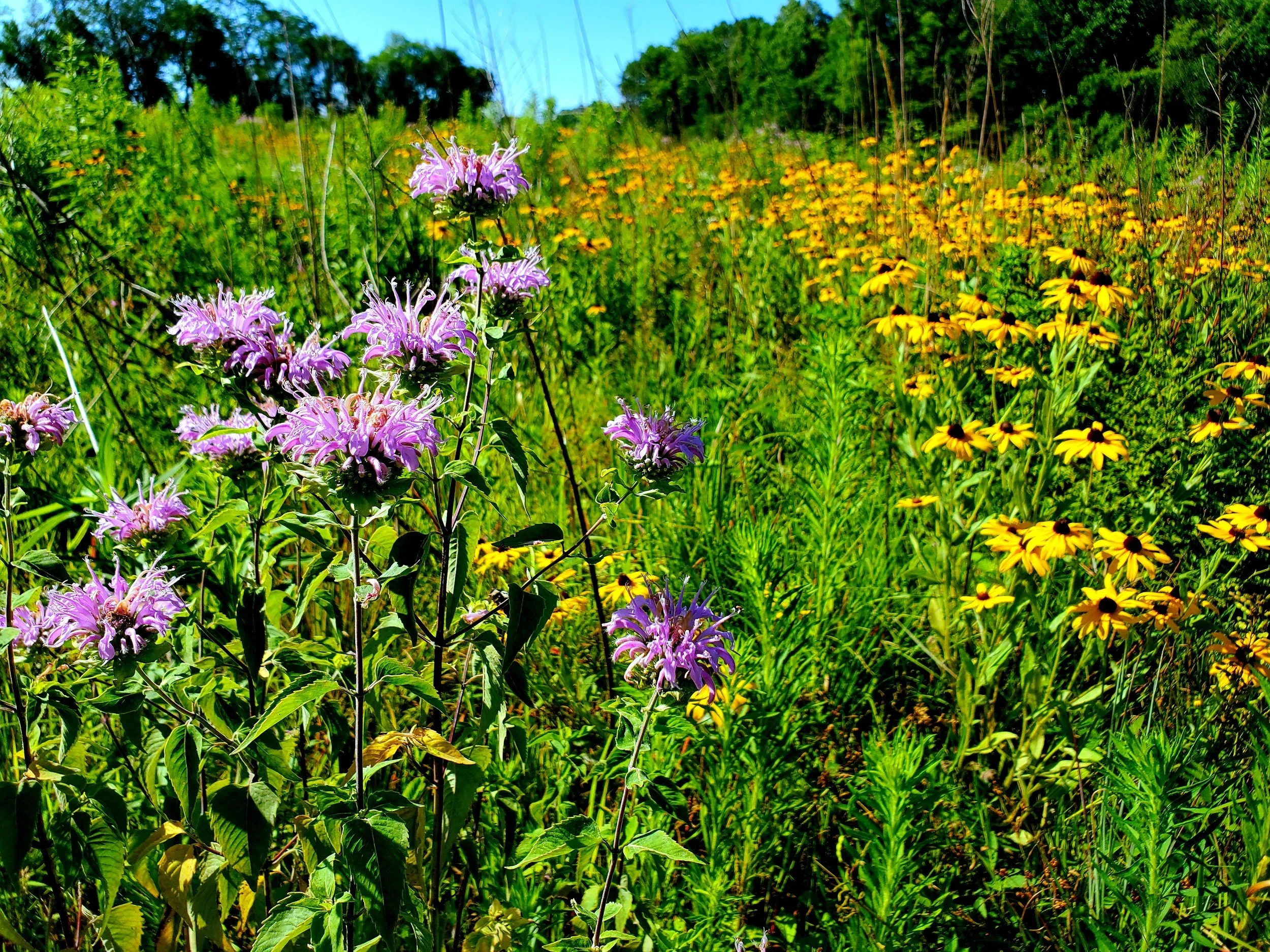 Land Trusts Get 'Er Done!