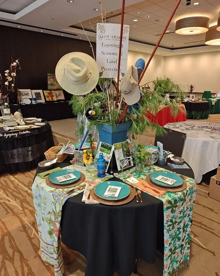 Best Visual Storytellers