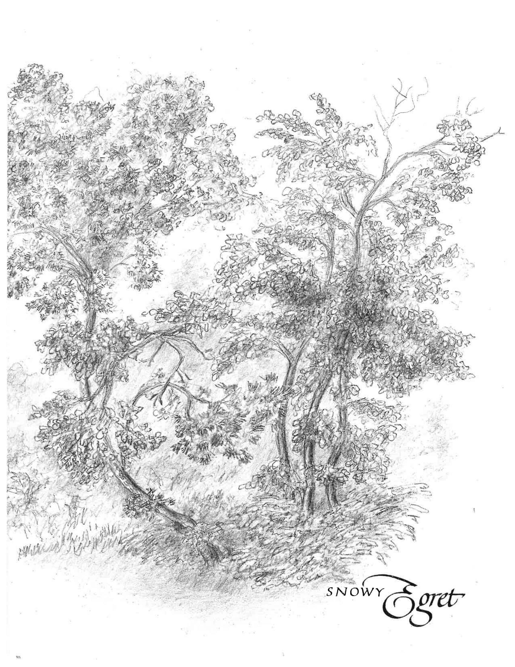 Celebrating the Legacy of Dr. Marion Jackson