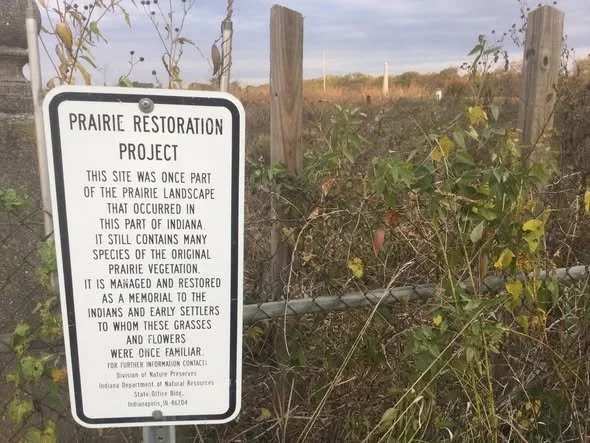 Teaming Up for Prairie Care at Smith Cemetery Nature Preserve