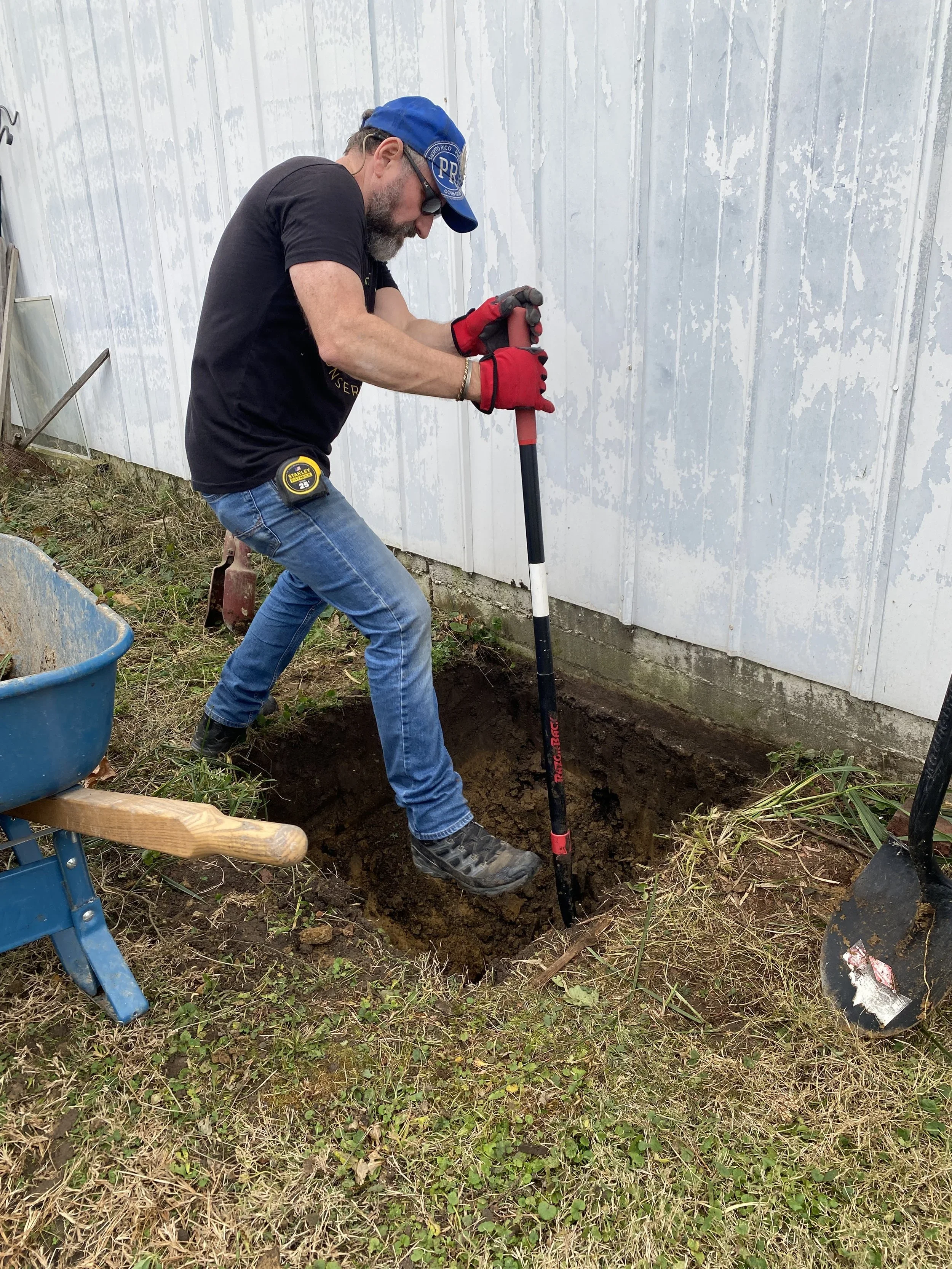 Motus Tower Update: Making Big Progress