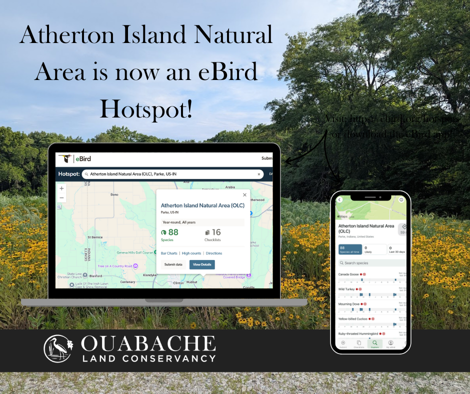 Atherton Island Natural Area is now an eBird Hotspot