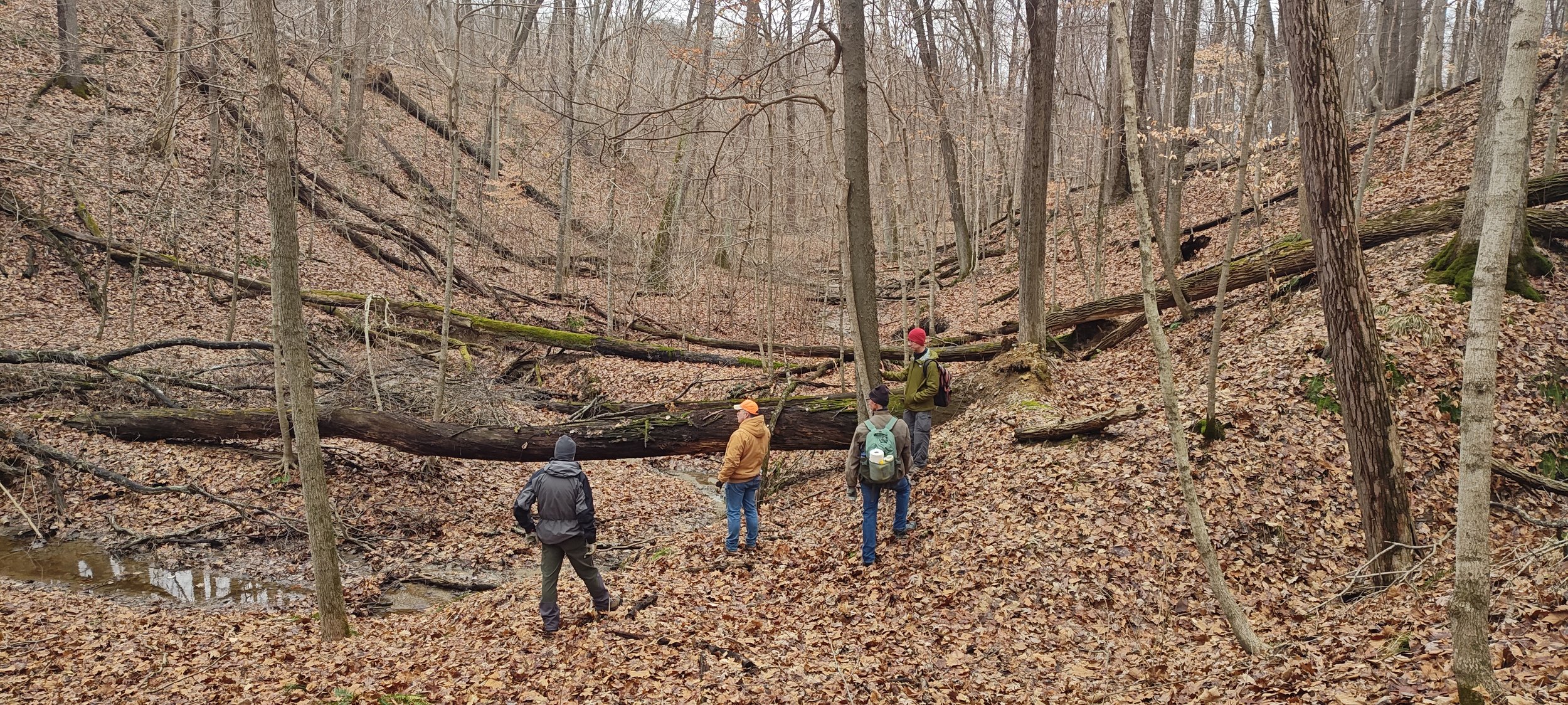 Building Trails, Building Partnerships at Bushnell’s North Star Woods