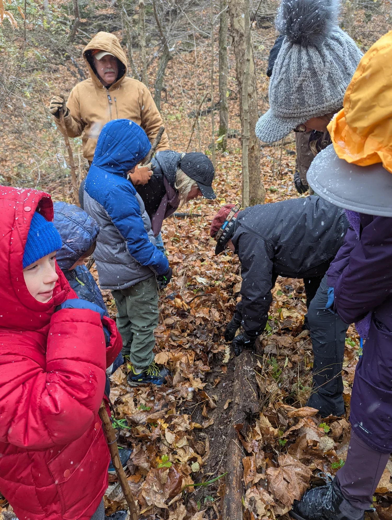 What Lives Beneath Our Feet: A Winter Walk Reveals the Quiet Power of a Salamander