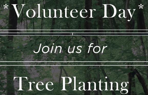 Volunteer Tree Planting at Atherton Island Natural Area