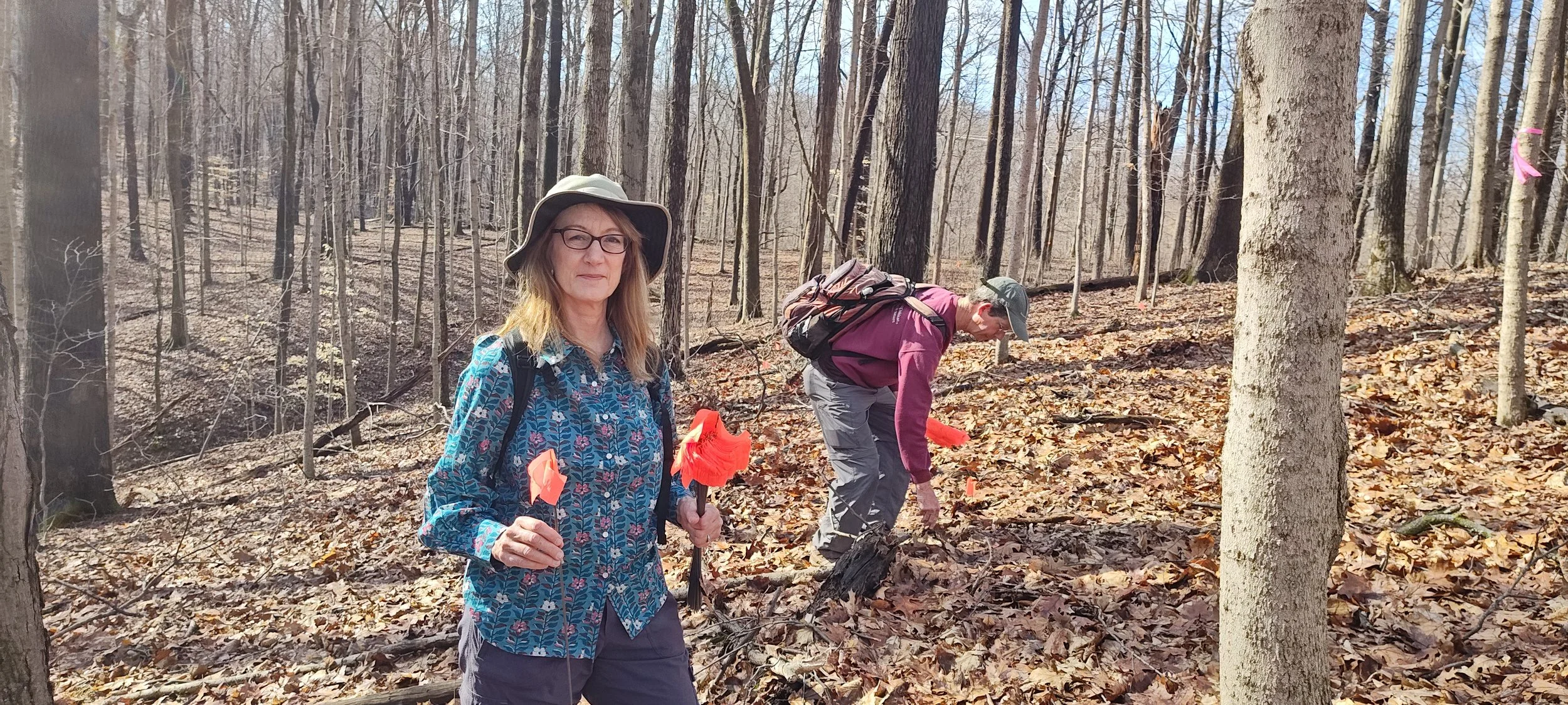 Continuing Trail Building at Bushnell’s North Star Woods
