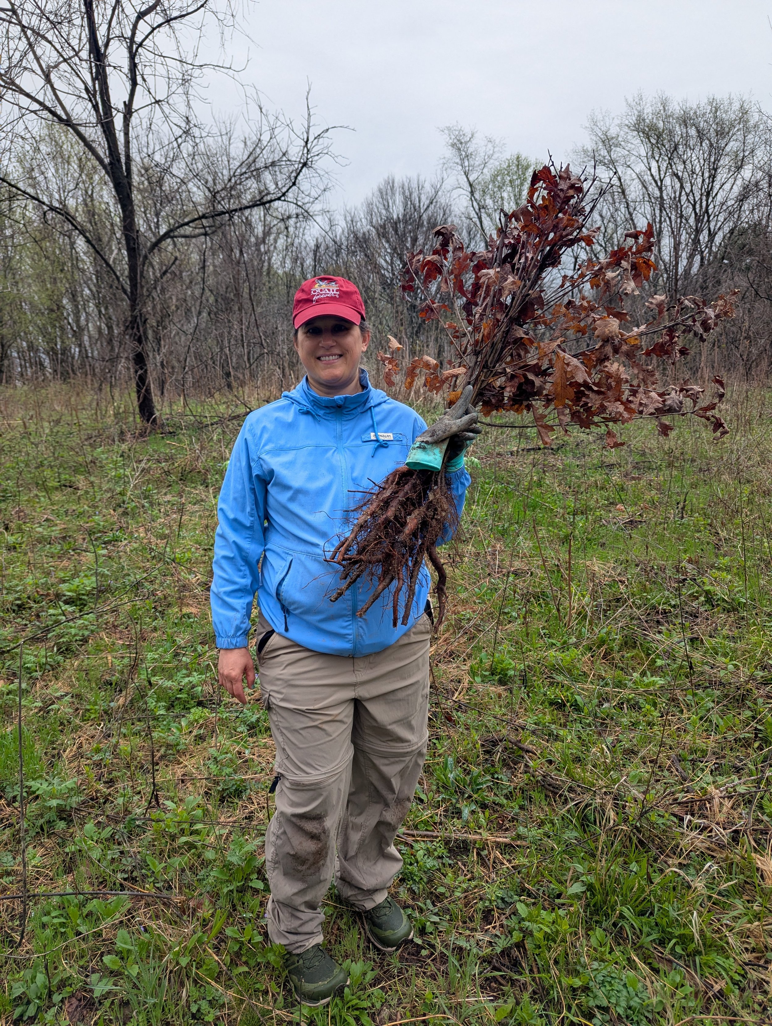 A Forest Reborn: Volunteers Plant 400 Oaks at Atherton Island Natural Area