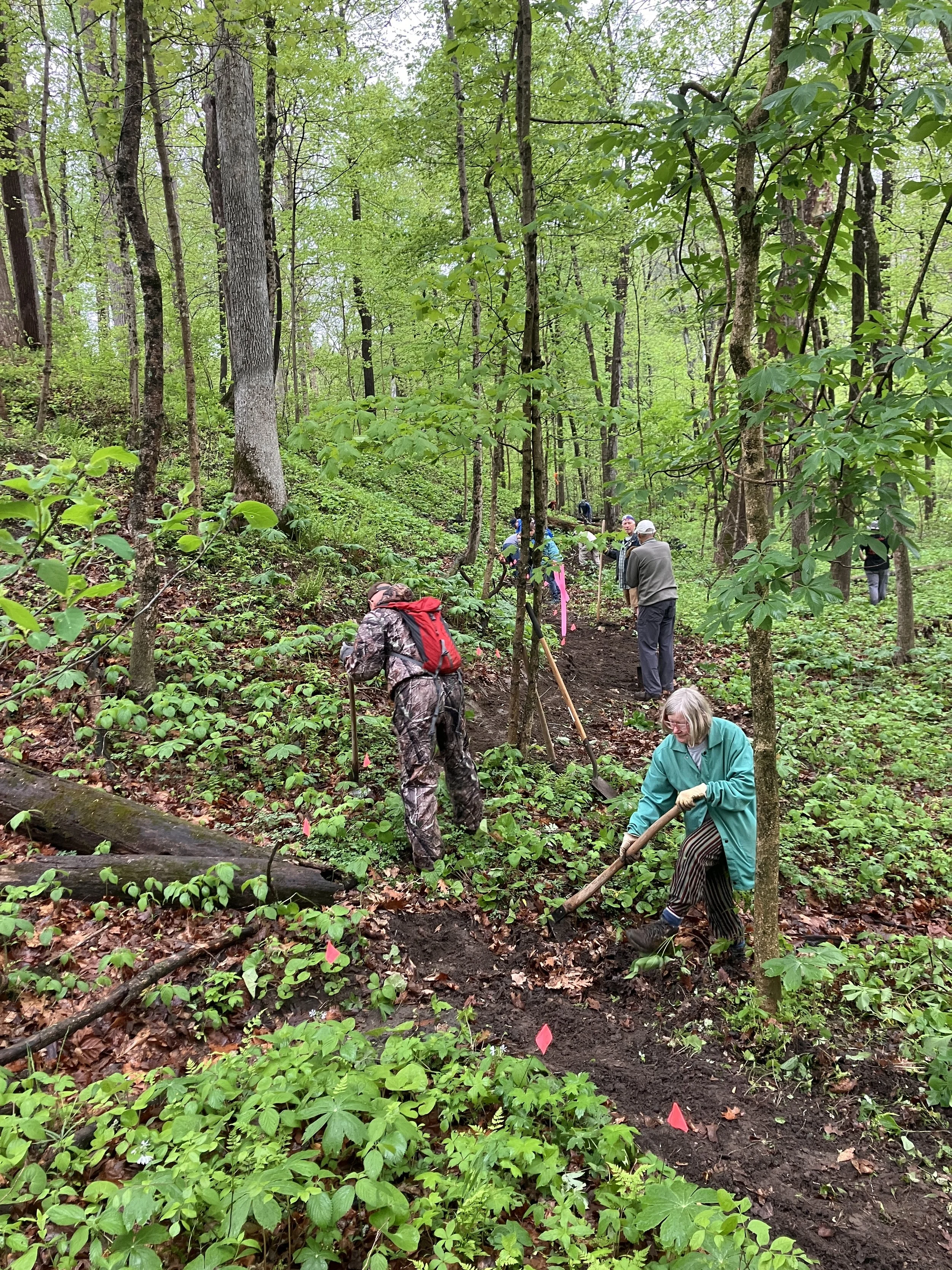 Trail Progress Continues at Bushnell’s North Star Woods
