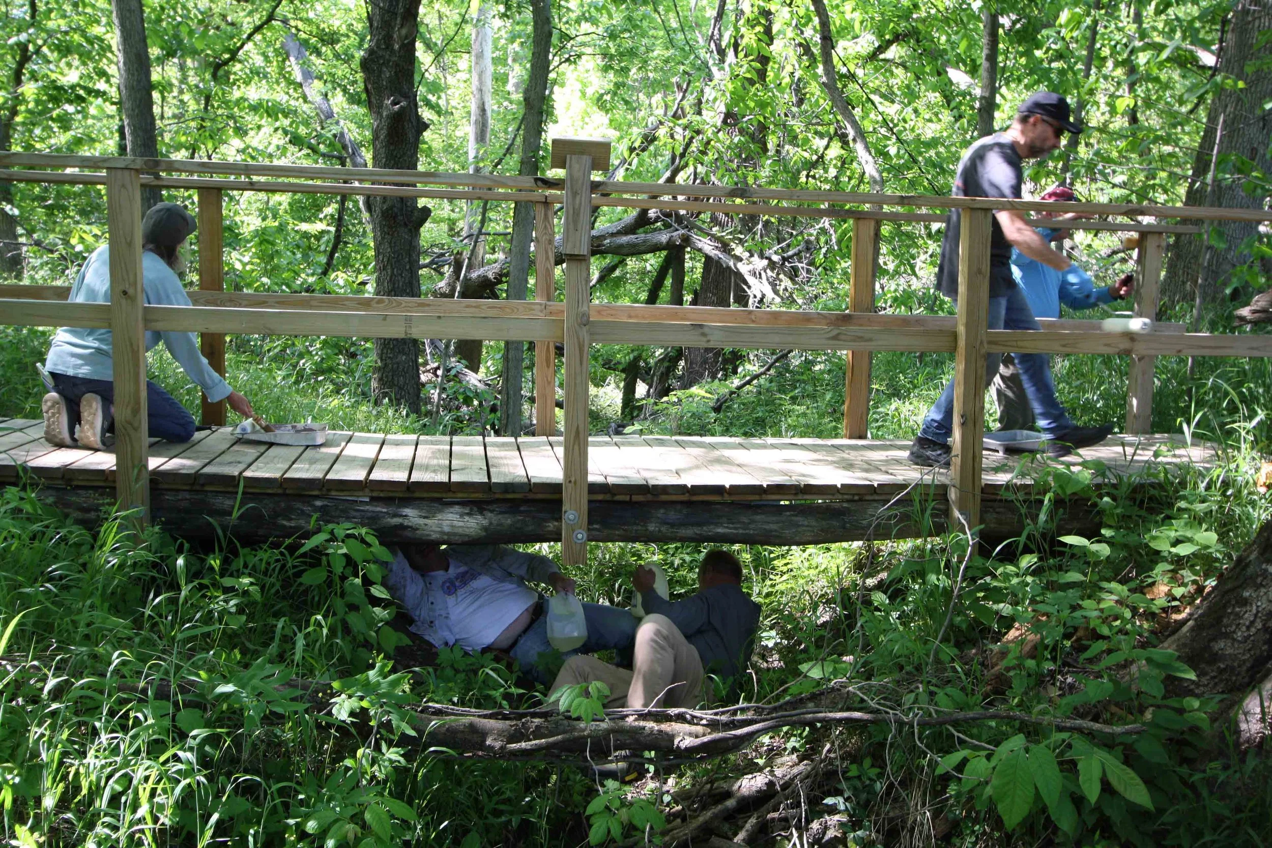 Caring for the Bridge at Atherton Island Natural Area
