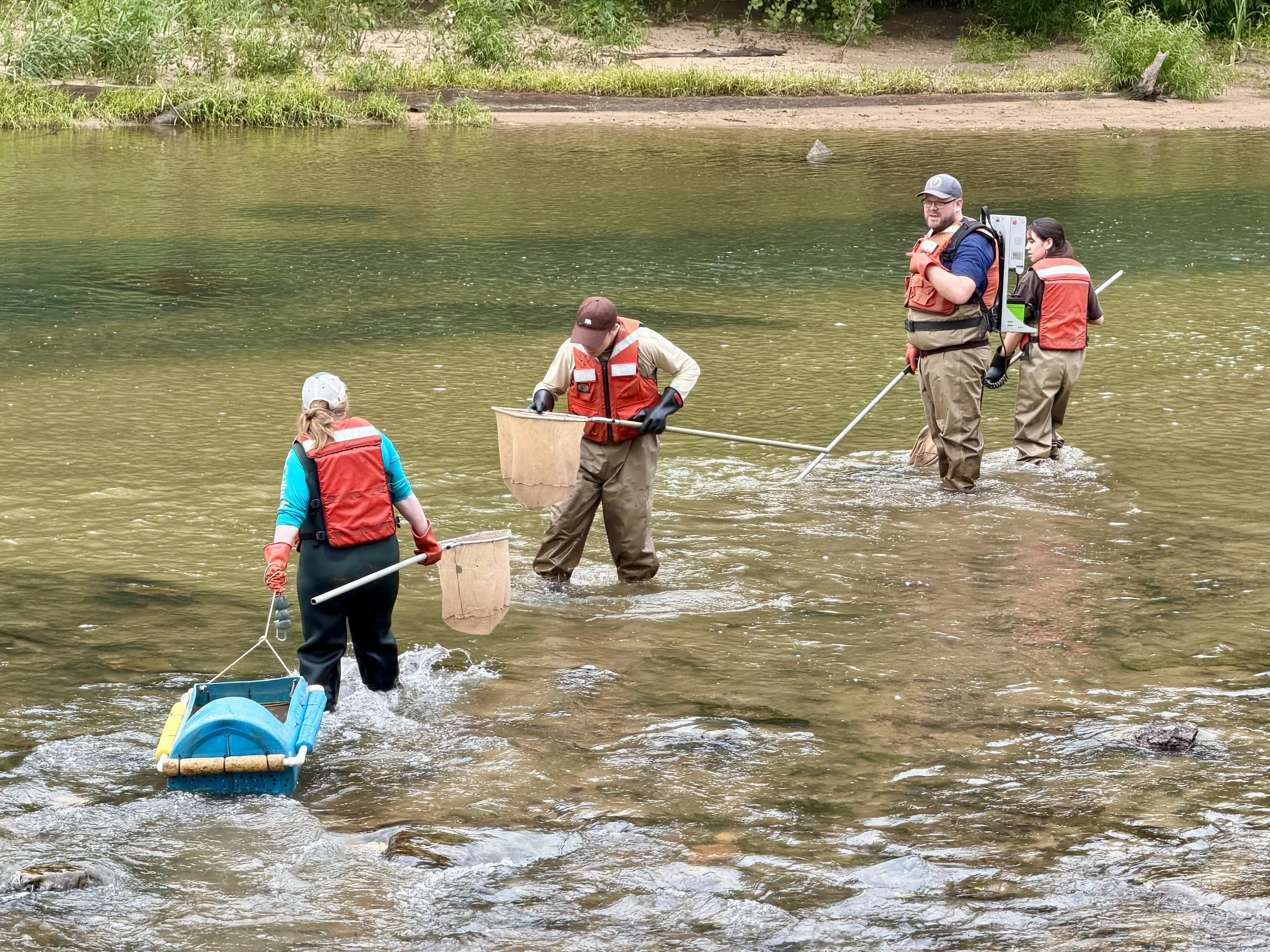 What a Healthier Creek Looks Like