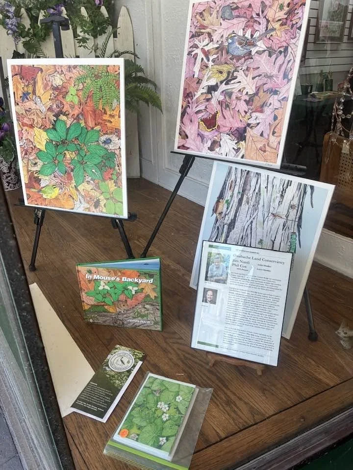 Art, Nature, and Giving Back: Celebrating Jim Nardi as the Covered Bridge Art Gallery's Artist of the Month