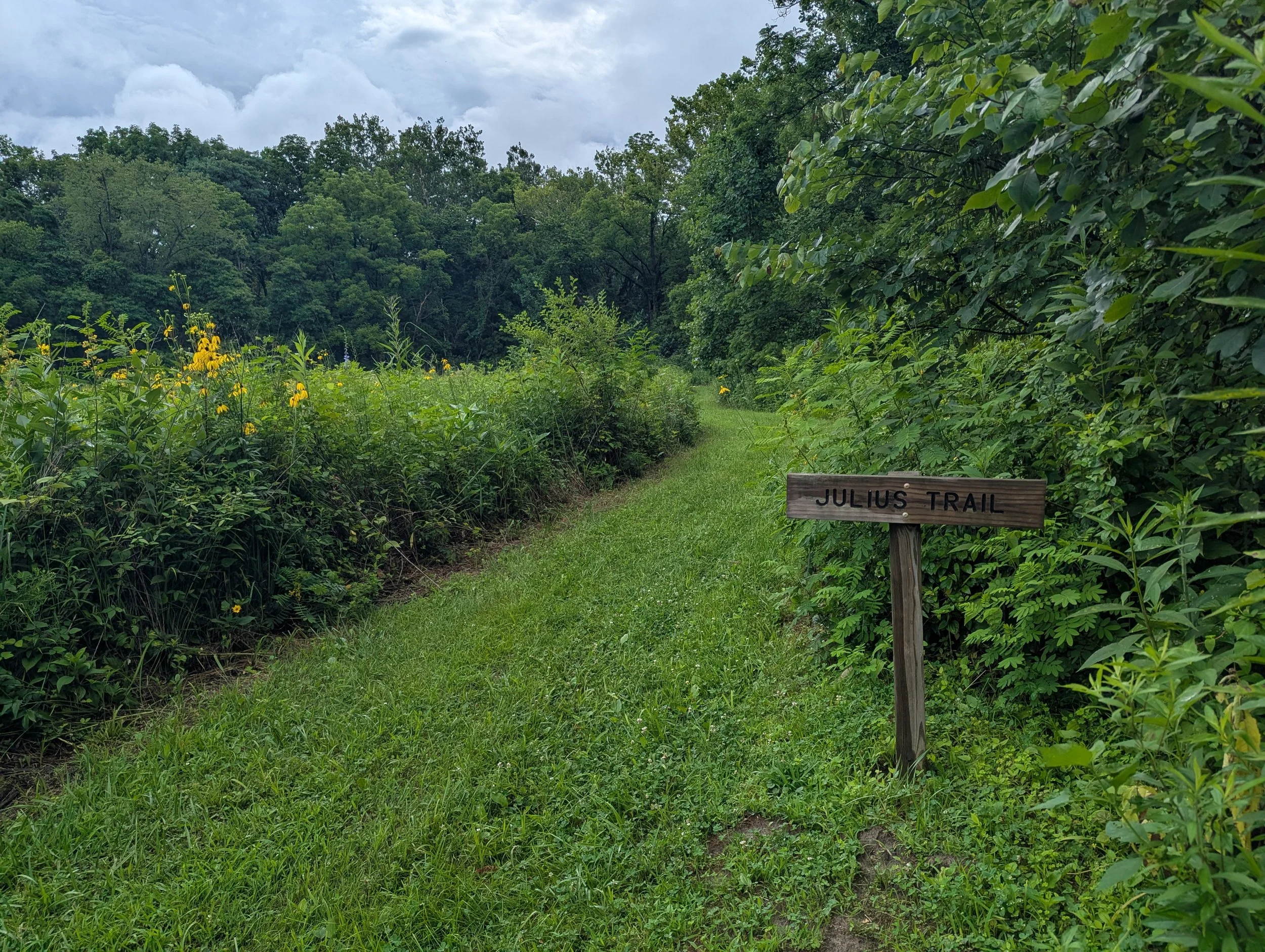 Protected Forever: What State Dedication Means for Jackson-Schnyder