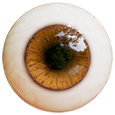 brown_realistic.png