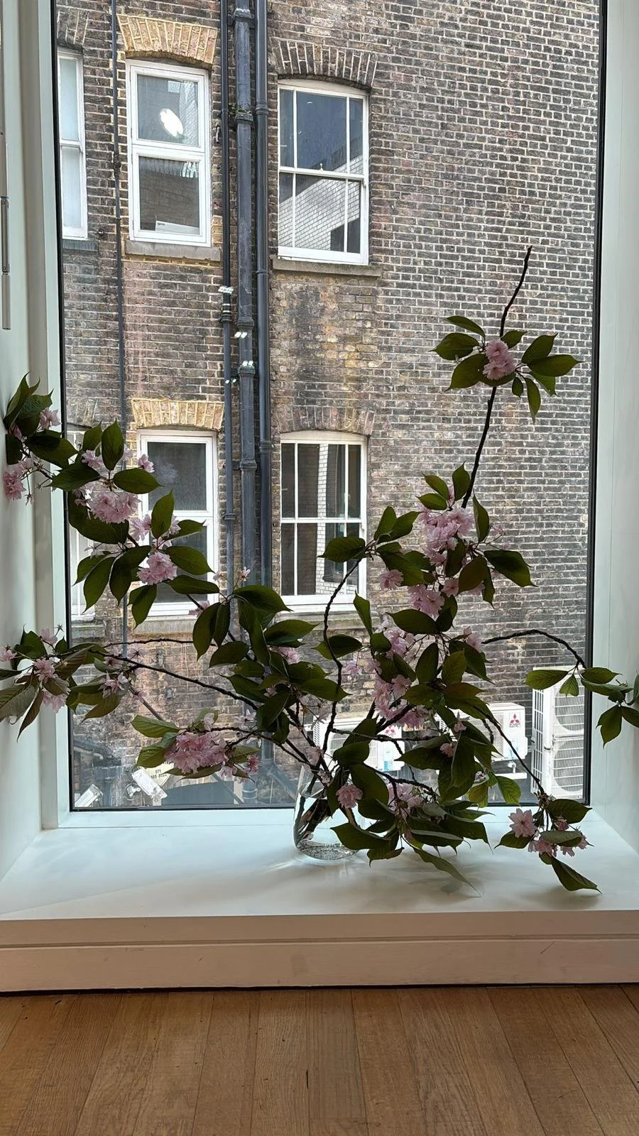 WhatsApp Image 2026-01-10 at 15.44.2253234433224.jpeg