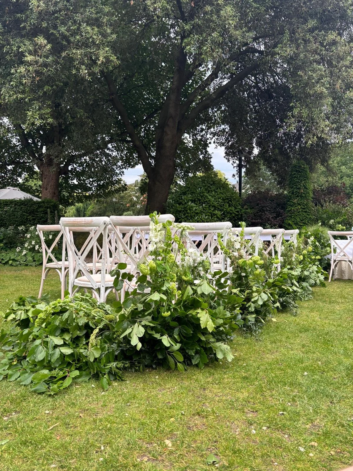 WhatsApp Image 2026-01-10 at 16.17.37smjuegfhnwfois.jpeg