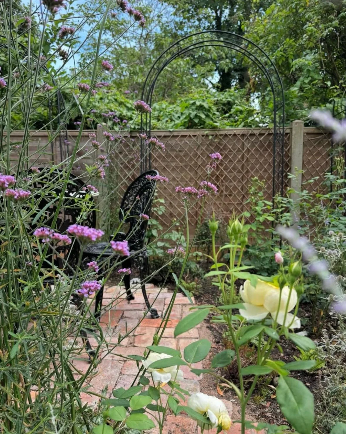 WhatsApp Image 2026-01-10 at 19.11.59kloojhufresw.jpeg