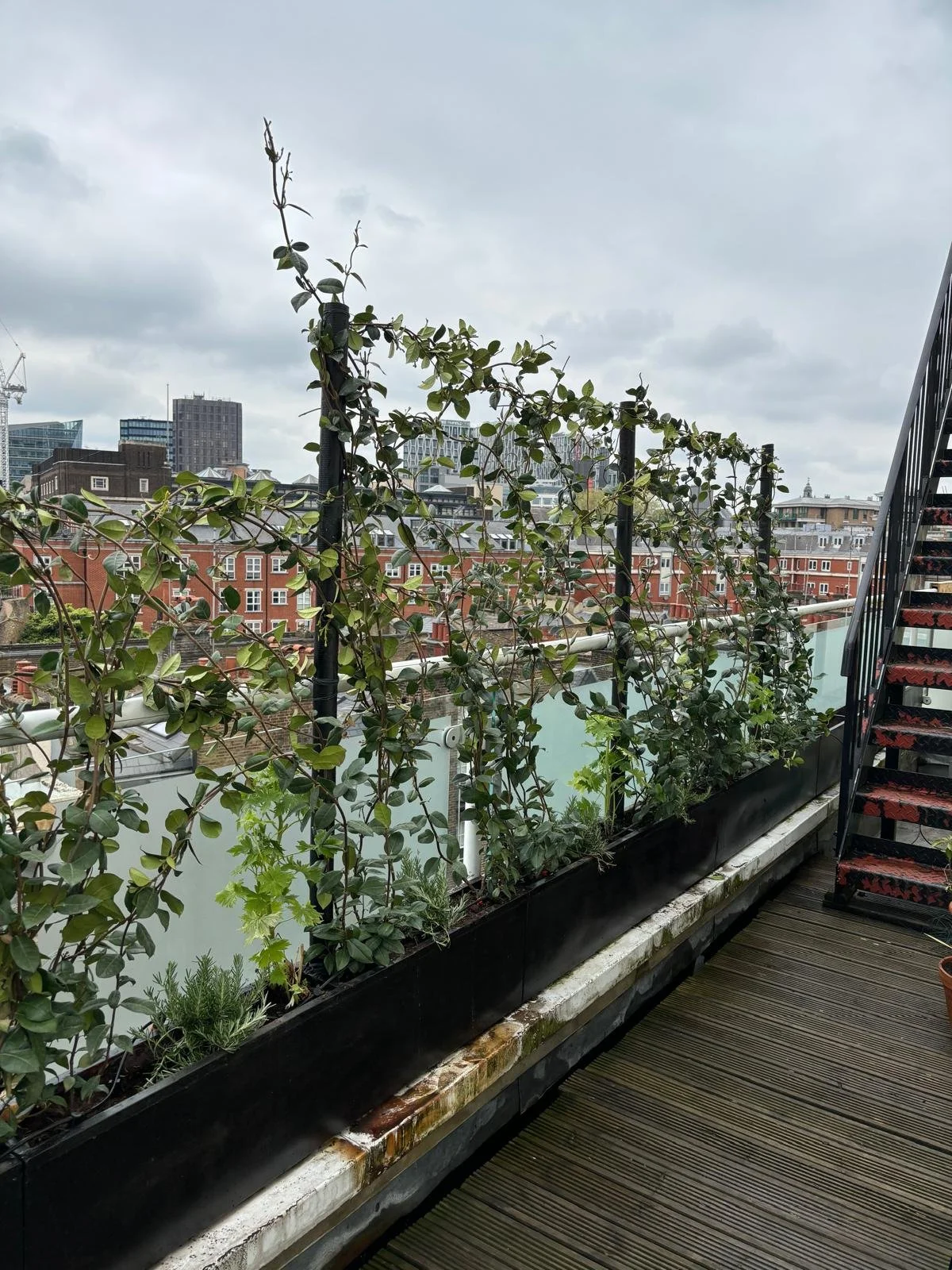 WhatsApp Image 2026-01-10 at 19.11.1967e5syrdtfguipyguivh.jpeg