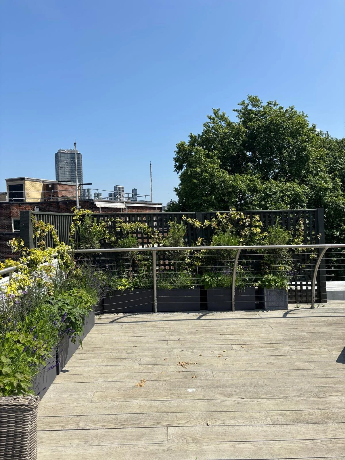 WhatsApp Image 2026-01-10 at 19.11.39dsq232454.jpeg