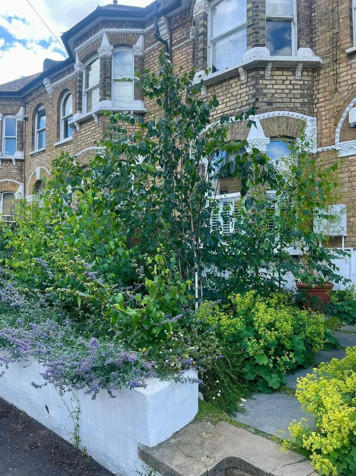 WhatsApp Image 2026-01-10 at 19.12.01iowfe87834673434.jpeg