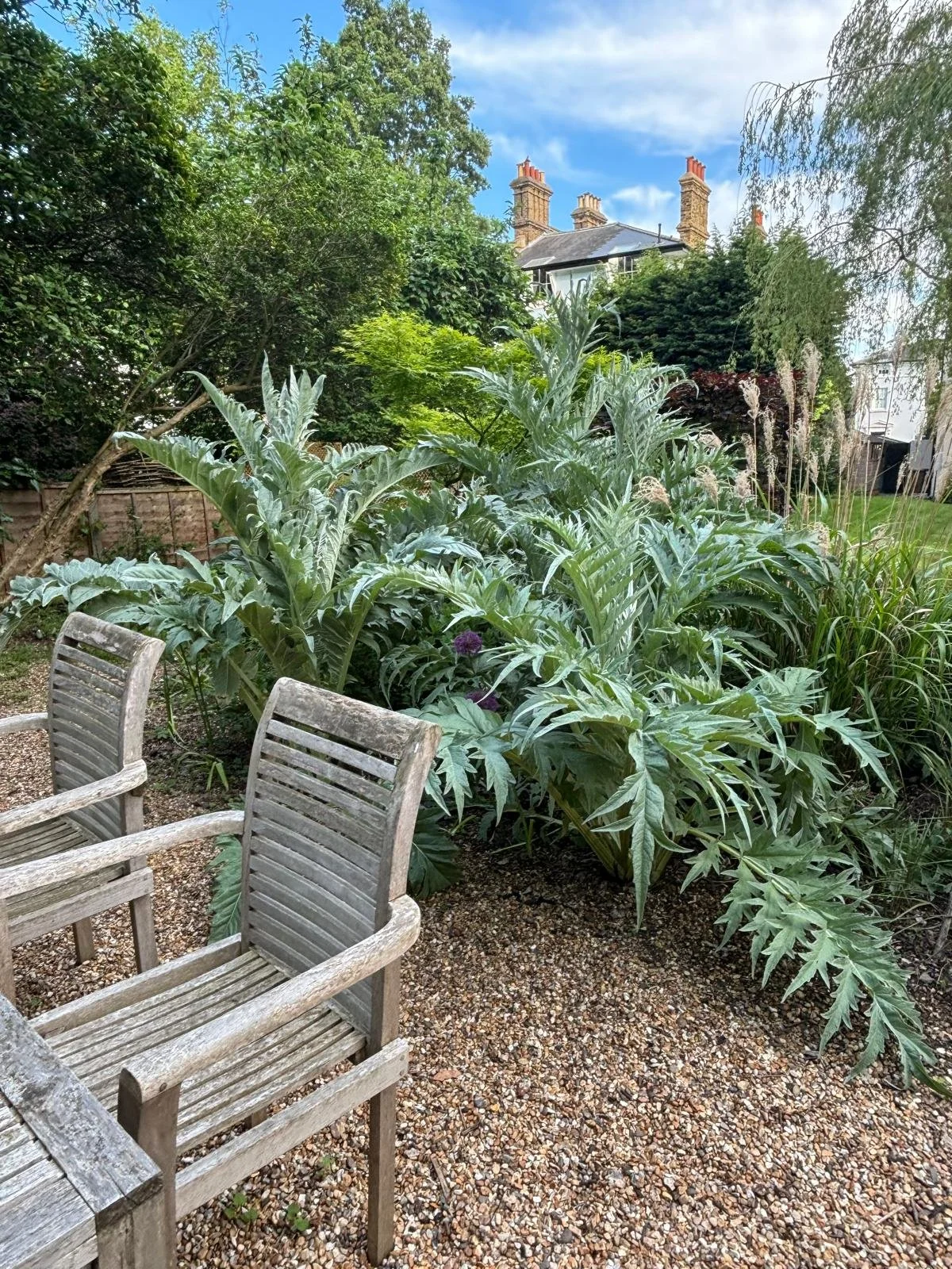 WhatsApp Image 2026-01-10 at 19.11.2234567ujhgbnm.jpeg