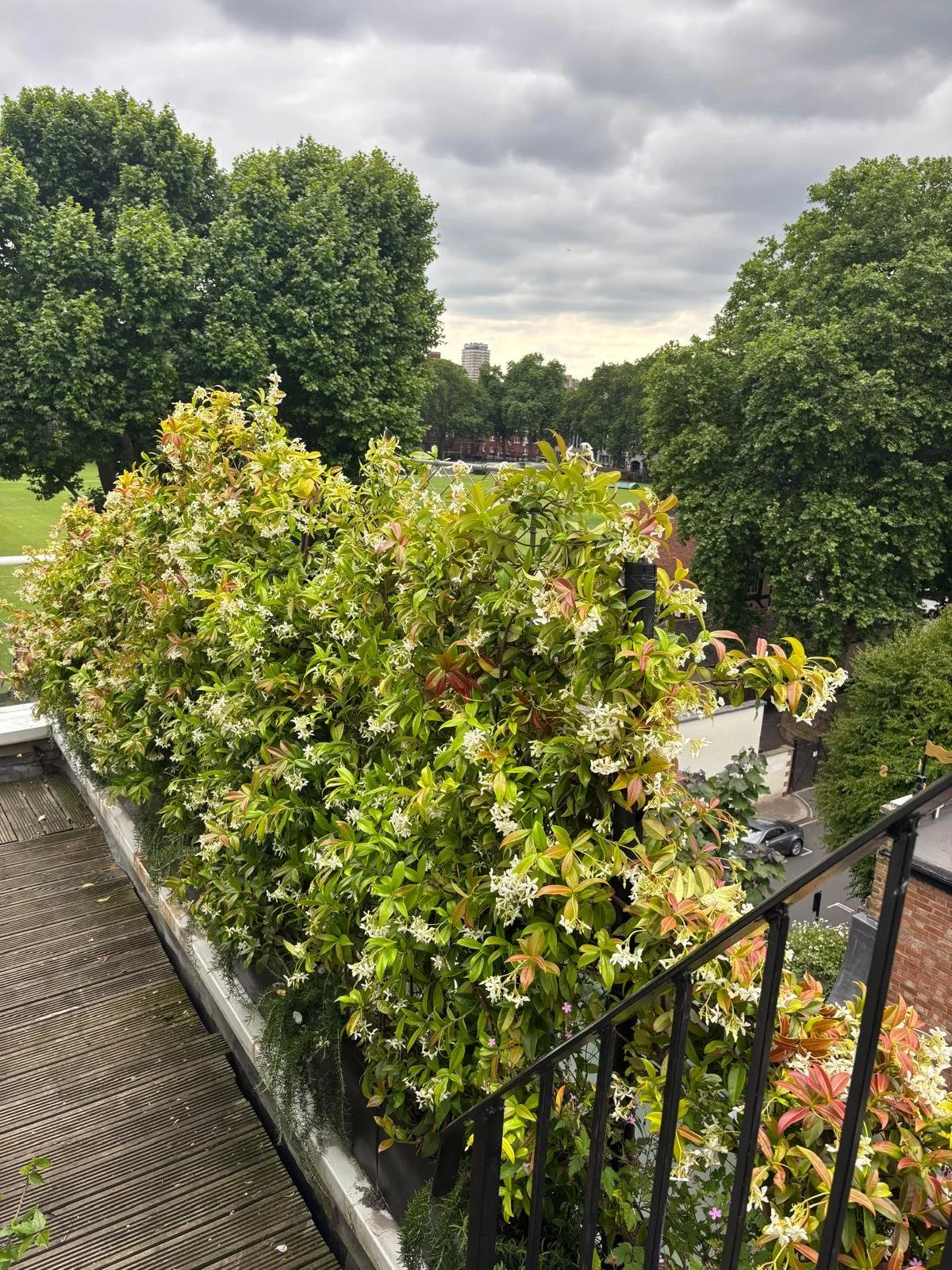 WhatsApp Image 2026-01-10 at 19.11.41jugdseg.jpeg