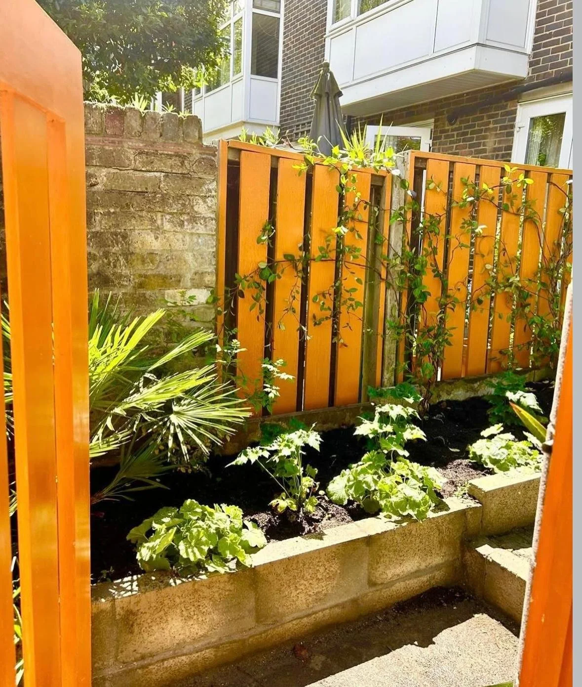 WhatsApp Image 2026-01-10 at 19.12.00jhgrdexwxertukl.jpeg