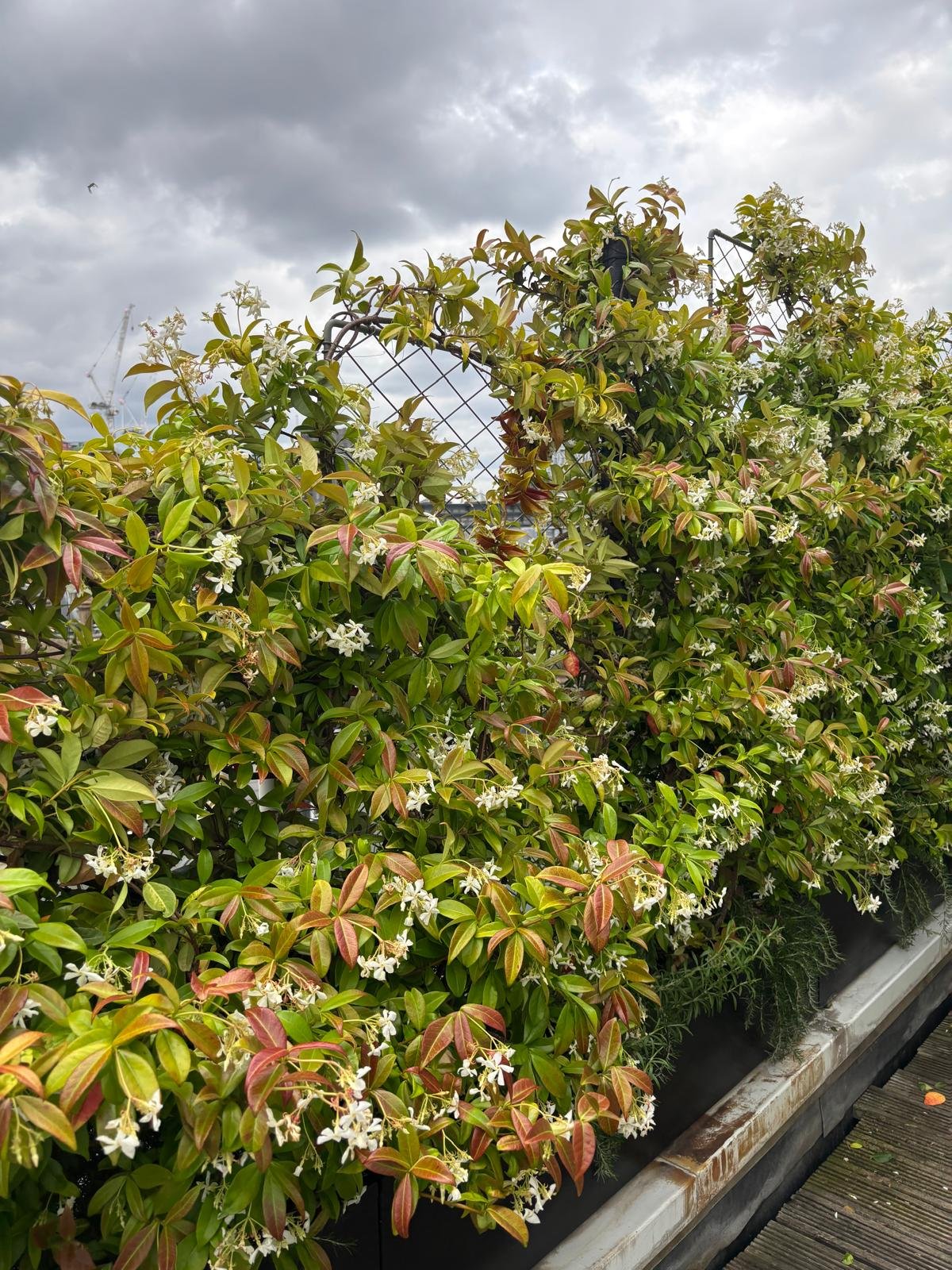 WhatsApp Image 2026-01-10 at 19.11.400oonugd3a.jpeg