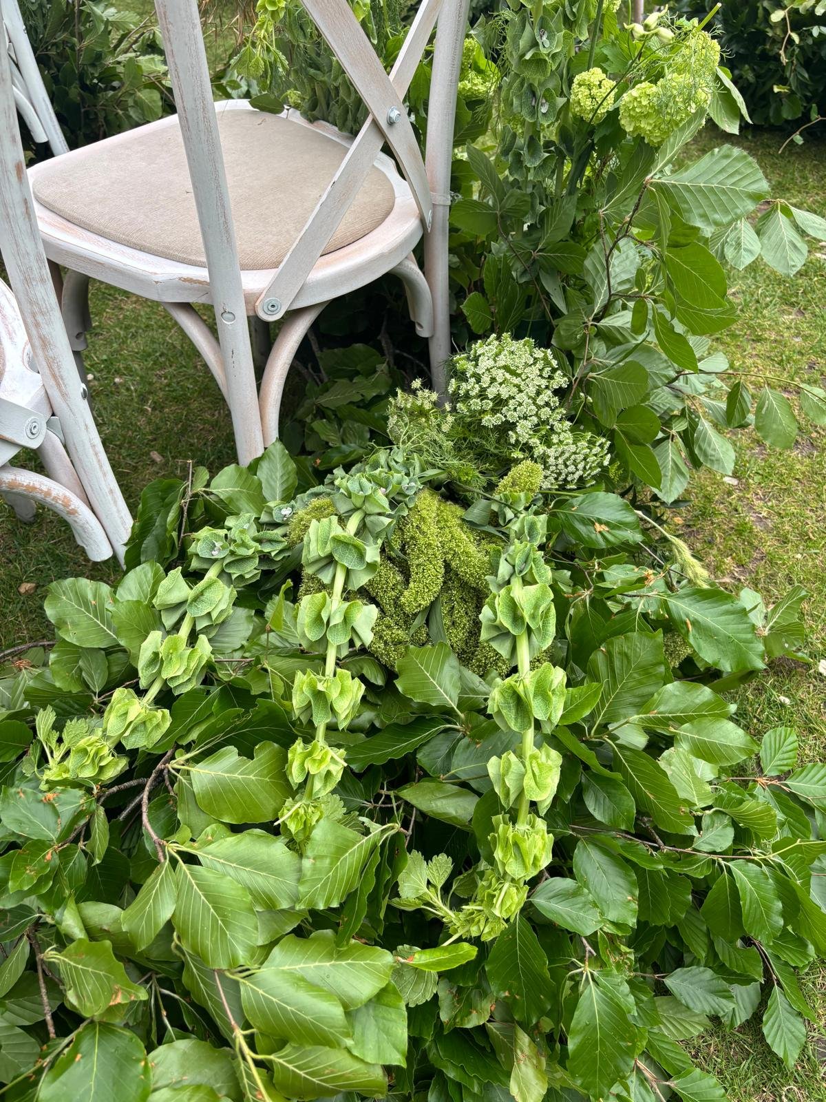 WhatsApp Image 2026-01-10 at 16.17.38wfdgfhghjg.jpeg