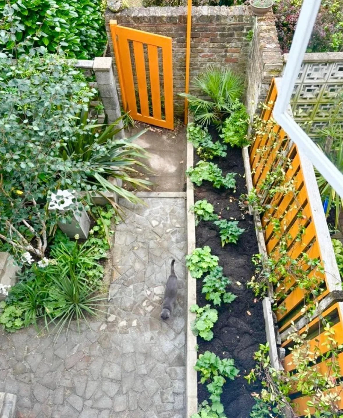 WhatsApp Image 2026-01-10 at 19.12.00knytdr34r.jpeg