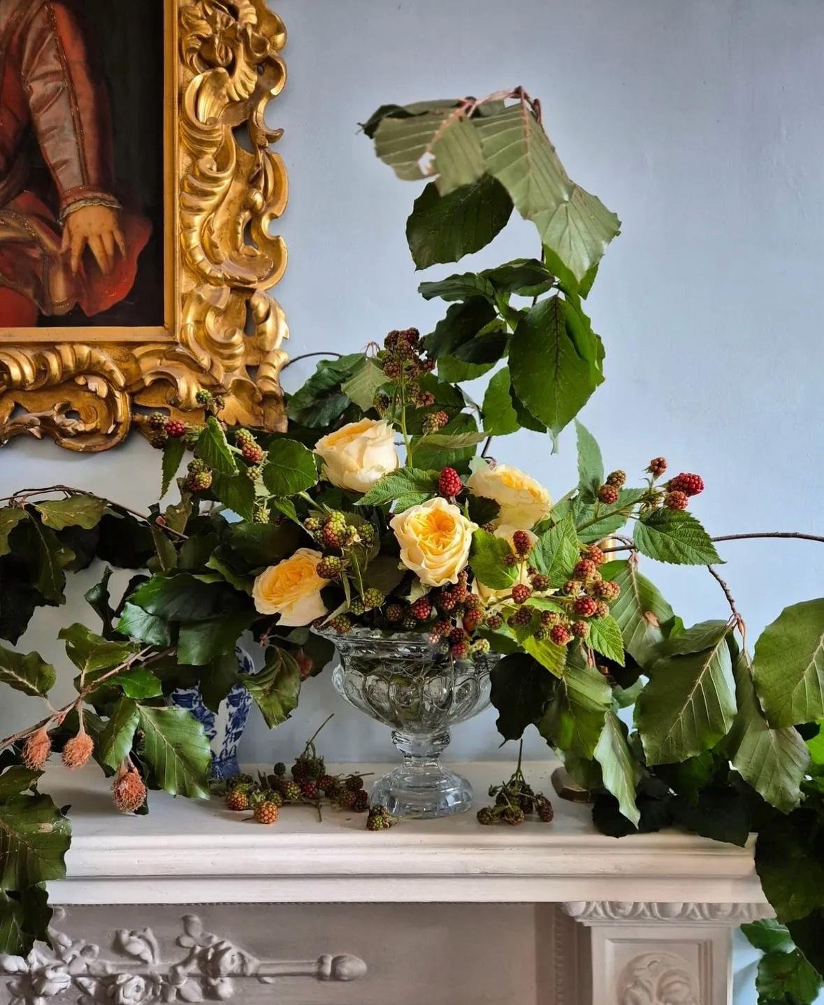 WhatsApp Image 2026-01-10 at 16.17.04dsfdf.jpeg