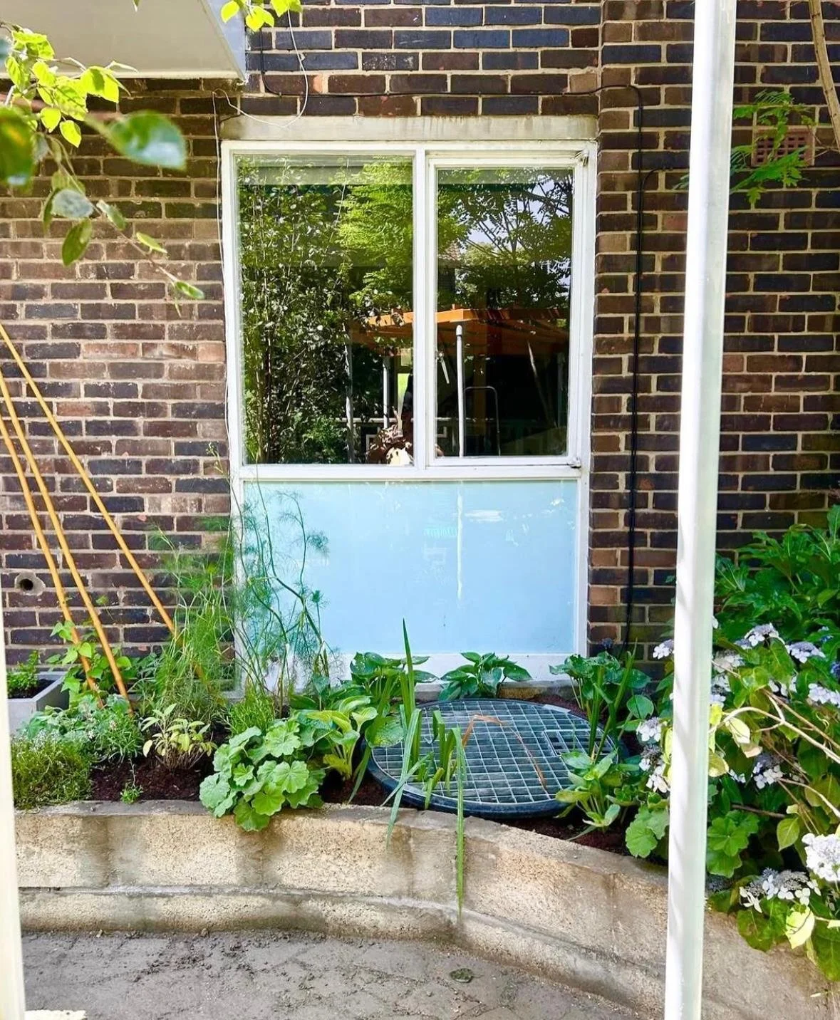 WhatsApp Image 2026-01-10 at 19.12.00kkmbhyrecxq.jpeg