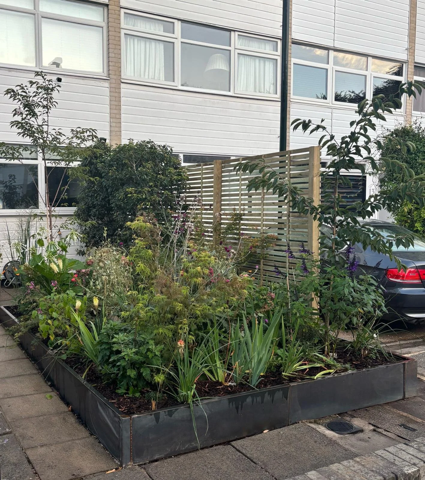 WhatsApp Image 2026-01-10 at 19.12.01bvcxsrh.jpeg