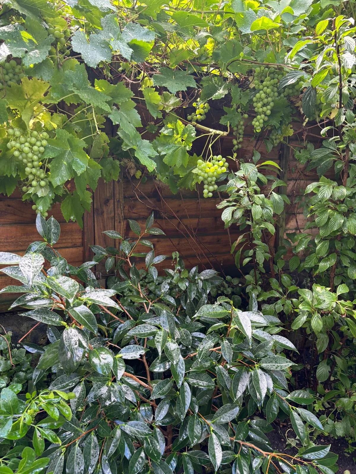 WhatsApp Image 2026-01-10 at 19.11.52juhyr532.jpeg