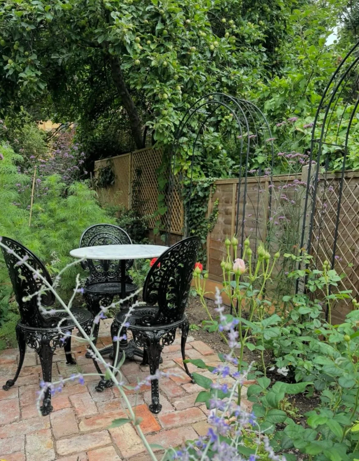 WhatsApp Image 2026-01-10 at 19.11.59nnbhfdreww.jpeg