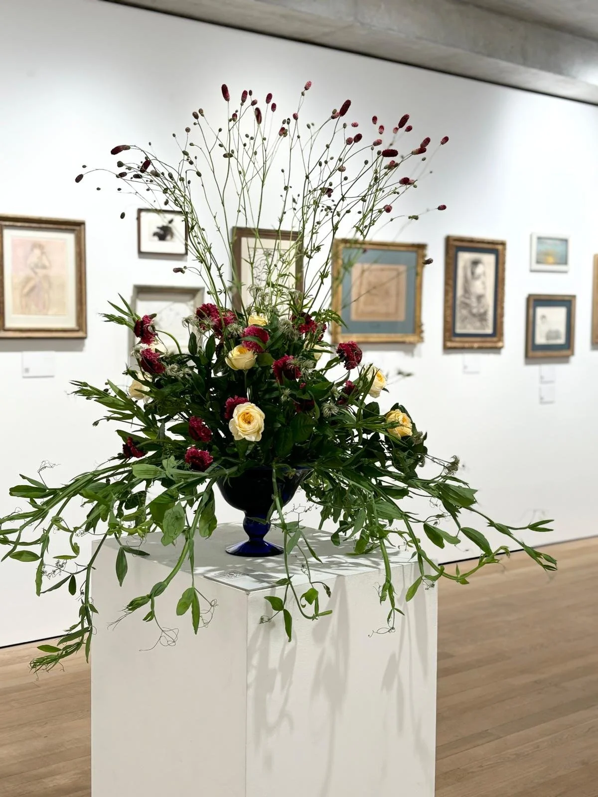 WhatsApp Image 2026-01-10 at 15.44.41553535.jpeg