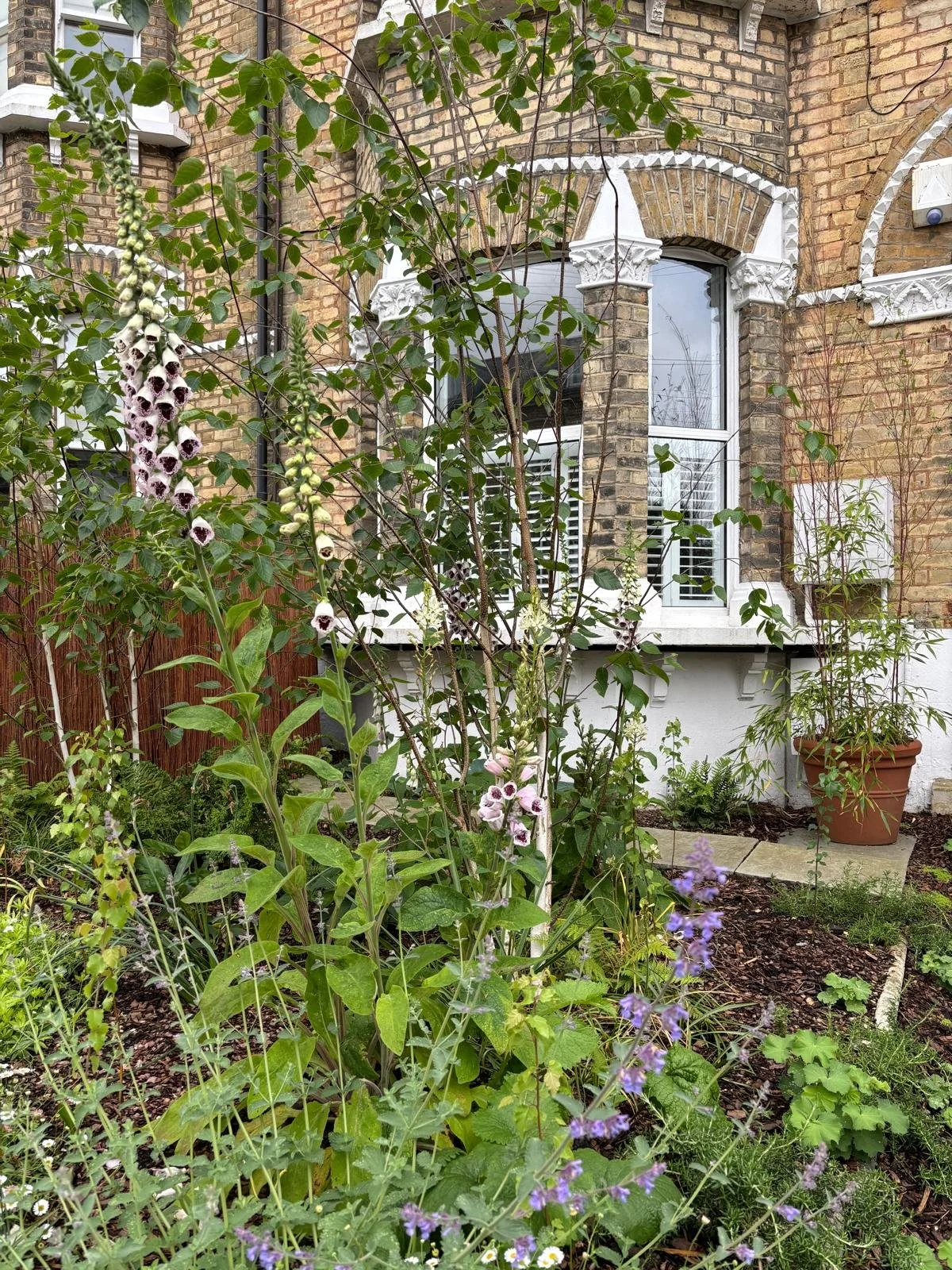 WhatsApp Image 2026-01-10 at 19.11.21ytfvbki76trd.jpeg