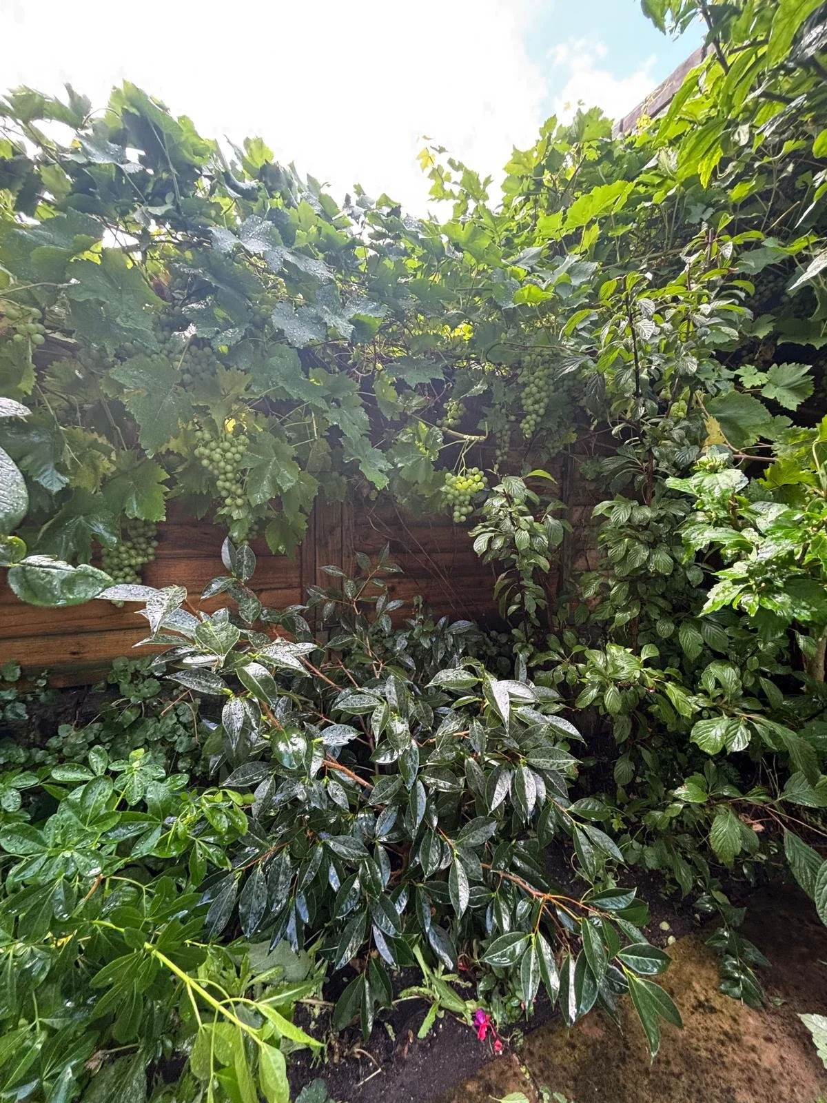 WhatsApp Image 2026-01-10 at 19.11.45lplinyrswa.jpeg