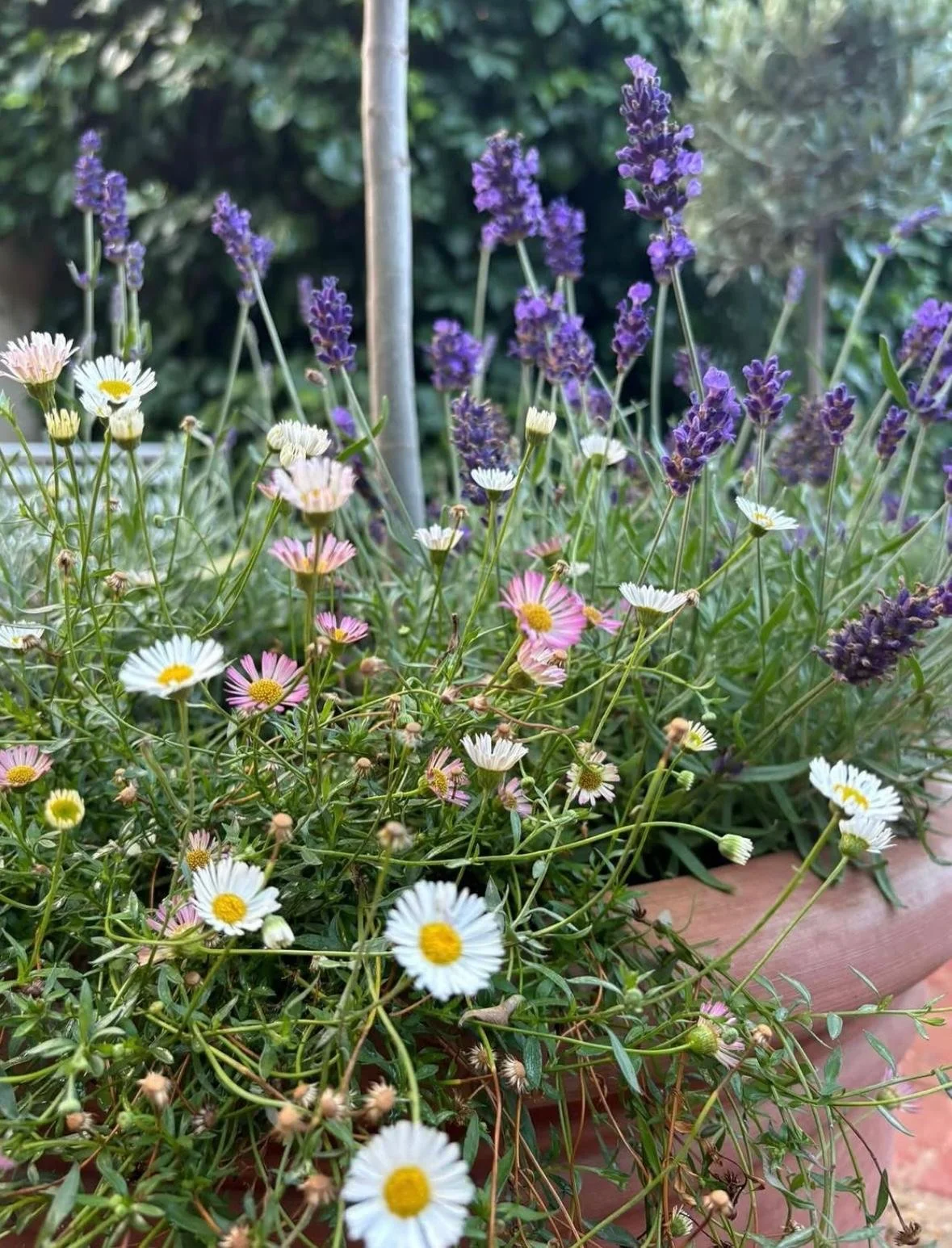 WhatsApp Image 2026-01-10 at 19.12.00aqwsedrftgyhuji.jpeg