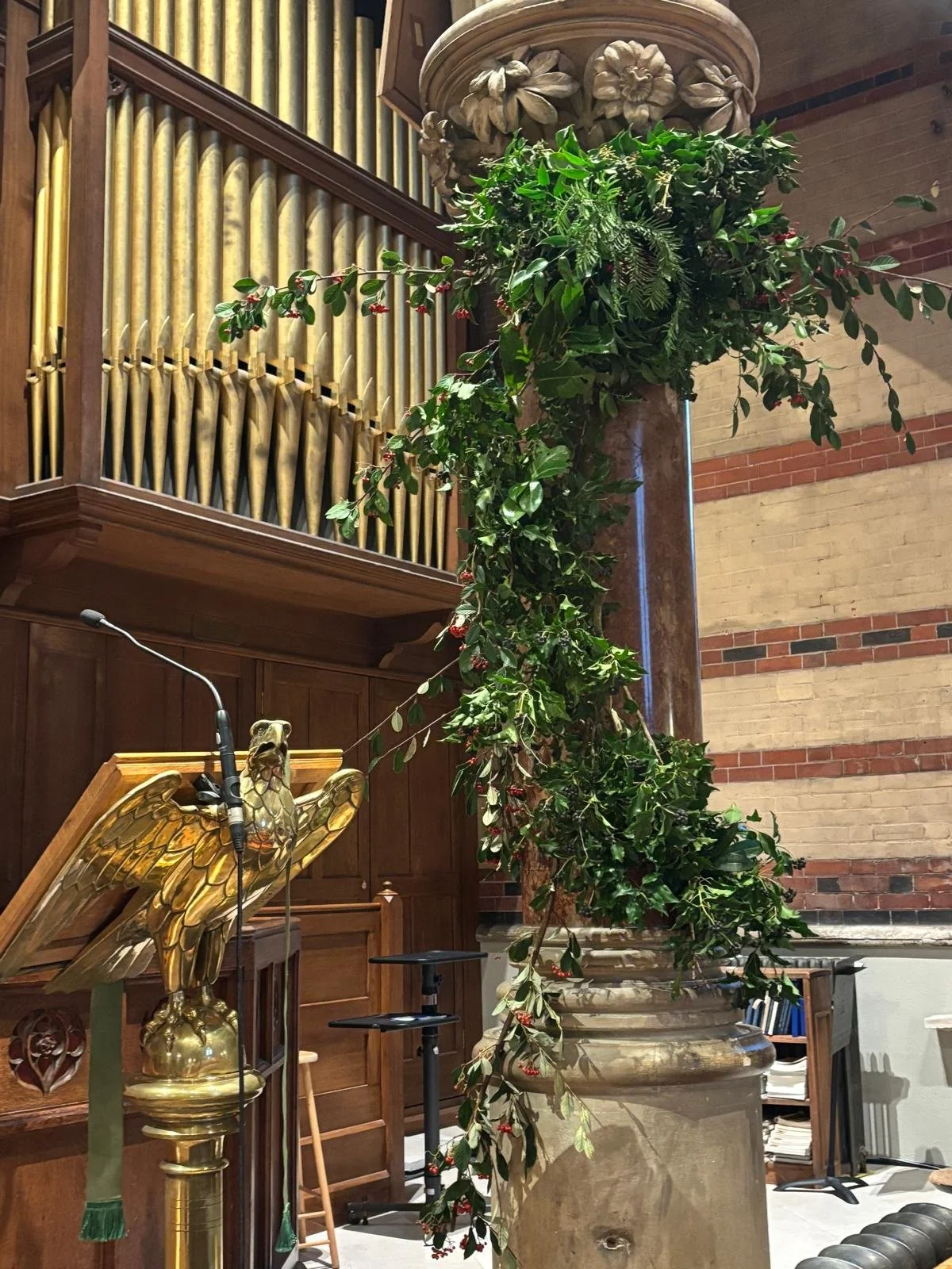 WhatsApp Image 2026-01-10 at 16.17.05eree.jpeg