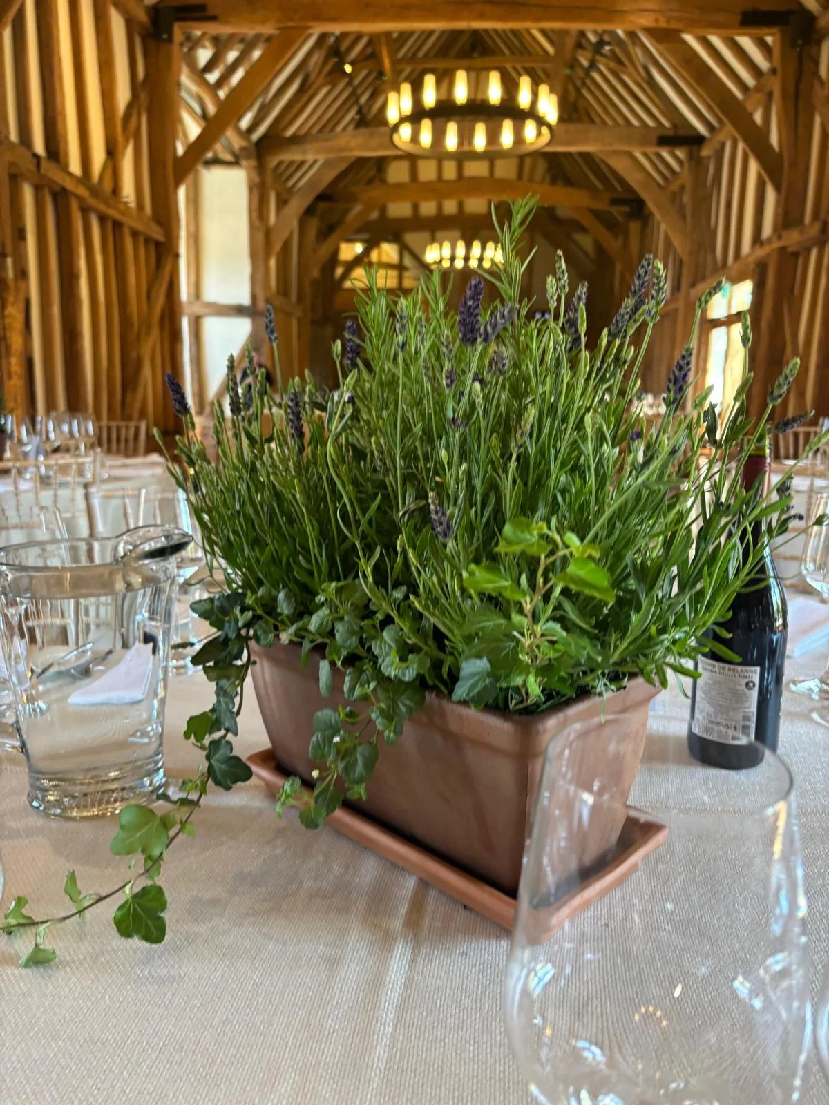 WhatsApp Image 2026-01-10 at 15.44.248888.jpeg