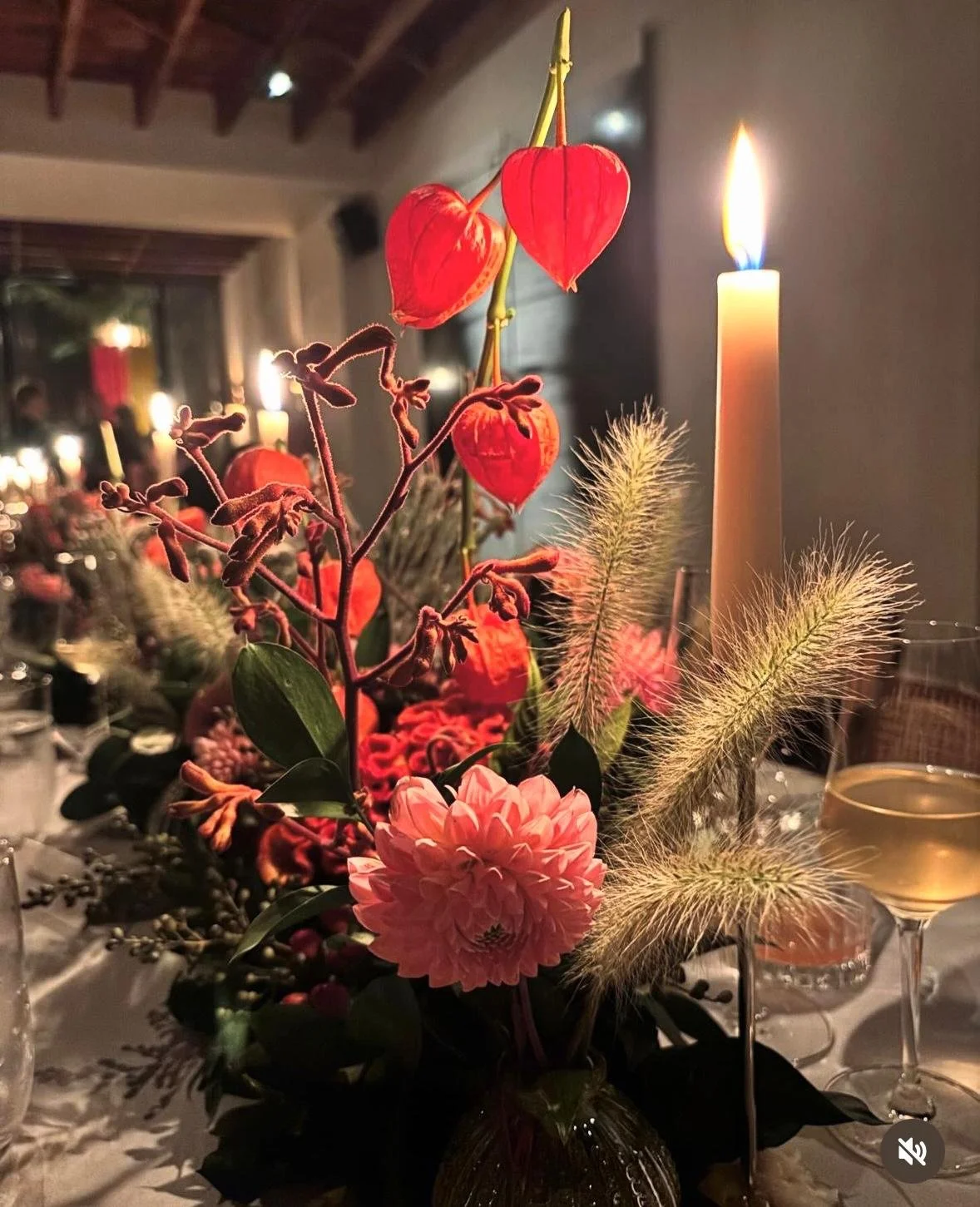 WhatsApp Image 2026-01-10 at 16.17.18huidfafsifds.jpeg